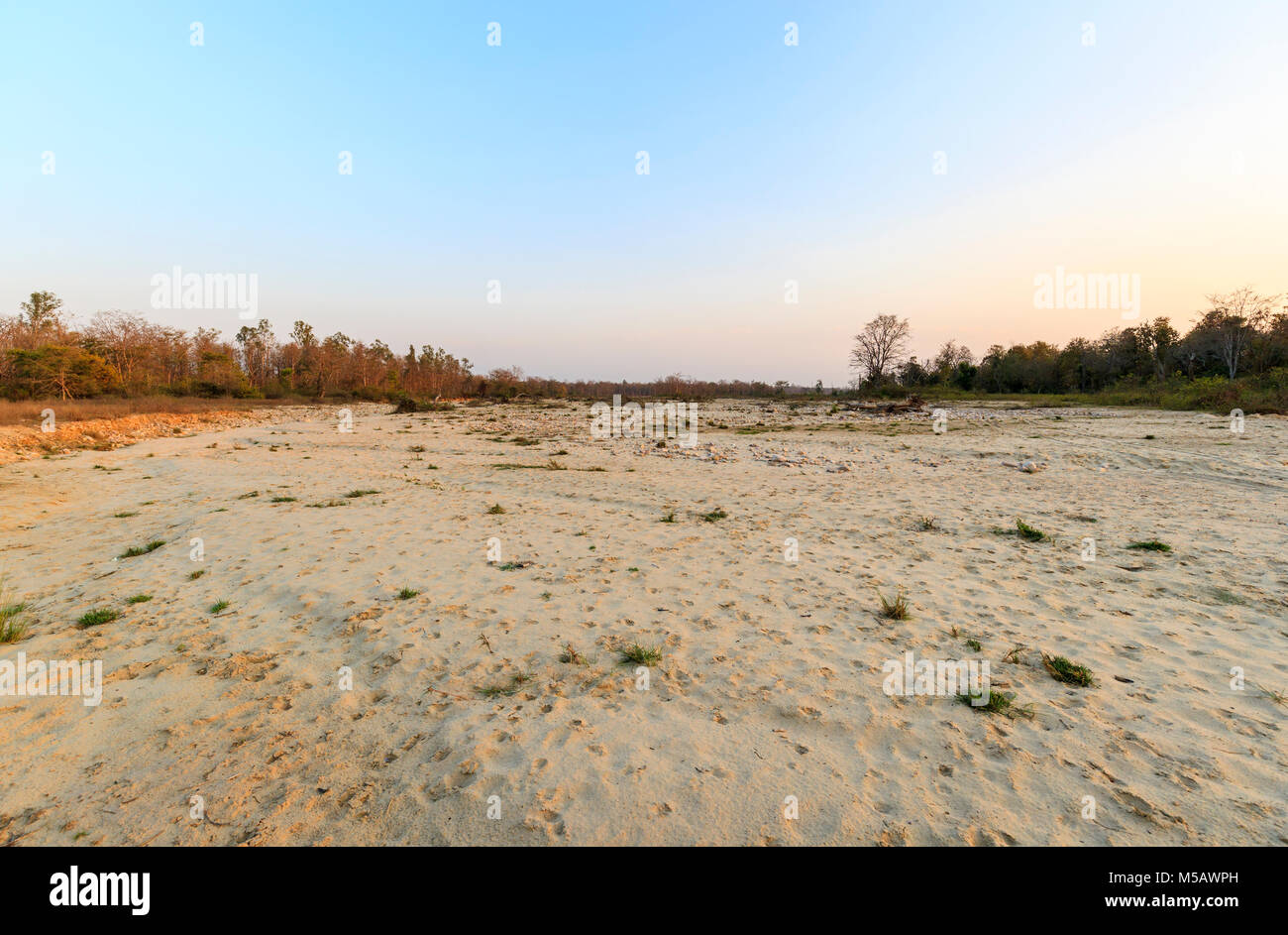 North Indian Ökologie: Blick auf ausgetrockneten Flussbett in Jim Corbett National Park Wildlife Sanctuary, Ramnagar, Uttarakhand, Indien Stockfoto