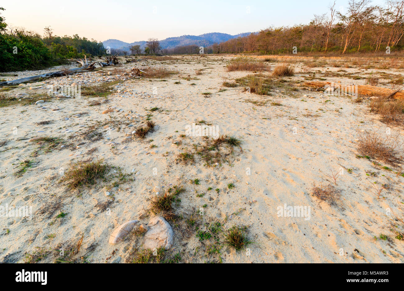 North Indian Ökologie: Blick auf ausgetrockneten Flussbett in Jim Corbett National Park Wildlife Sanctuary, Ramnagar, Uttarakhand, Indien Stockfoto