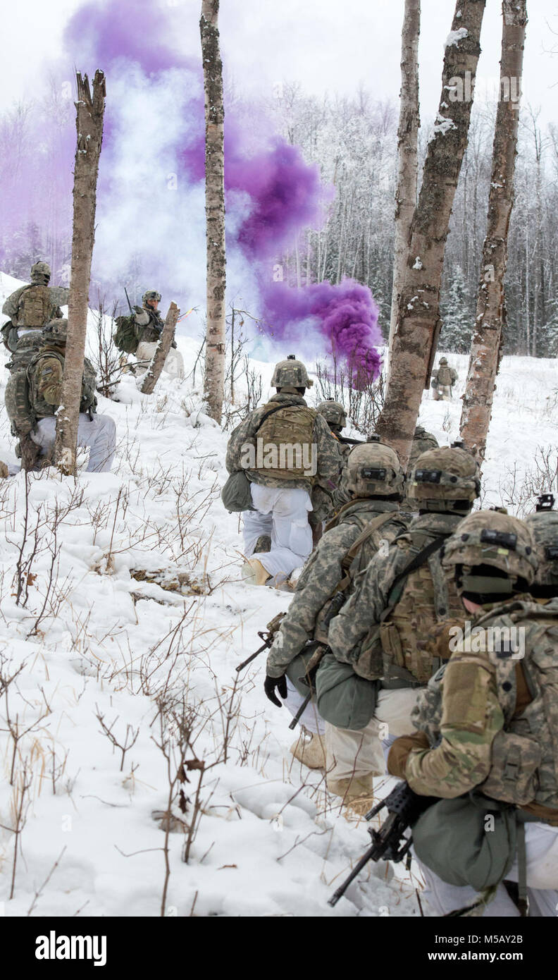 Soldaten zu Ladegerät Unternehmen, 1.BATAILLON, 5 Infanterie Regiment, 1 Stryker Brigade Combat Team, 25 Infanterie Division, U.S. Army Alaska zugeordnet, Vorbereiten zum Angriff einer simulierten feindlichen Position während des Betriebs der Punchbowl bei Joint Base Elmendorf-Richardson, Alaska, 10.02.2018. Betrieb der Punchbowl war ein Bataillon, kombinierte Waffen, Feuer, die auf Arktis Letalität konzentriert. Während der Operation drei 150-Soldat Unternehmen manövrierte durch abwechslungsreiches Gelände; angreifen und Fressen feindliche Stellungen sowie Beseitigung der wichtigsten Waffen und Fahrzeuge durch den Feind genutzt wird. (U.S. Ein Stockfoto