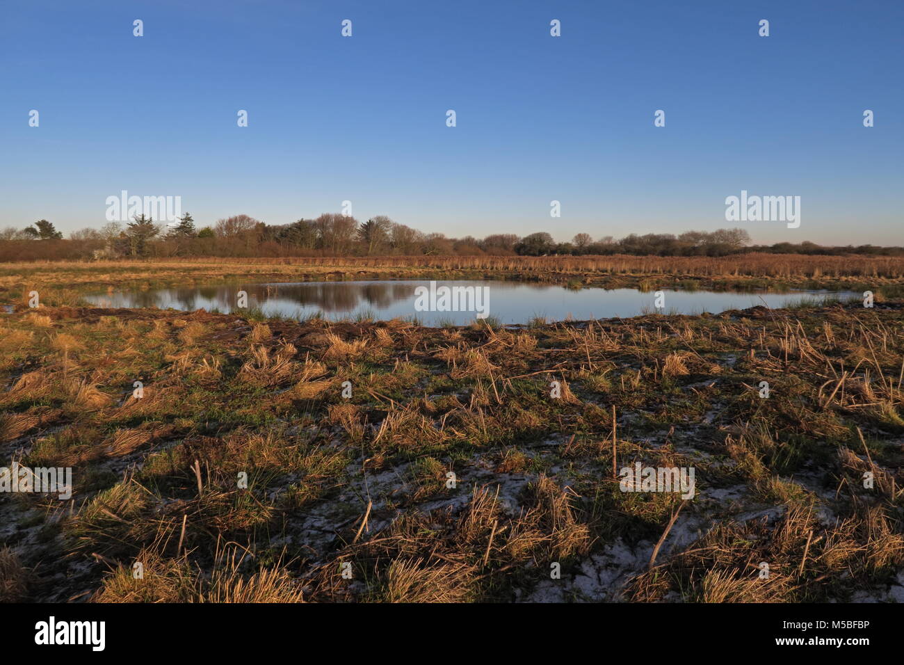 Auf ihrem niveau Fotos und Bildmaterial in hoher Auflösung Alamy