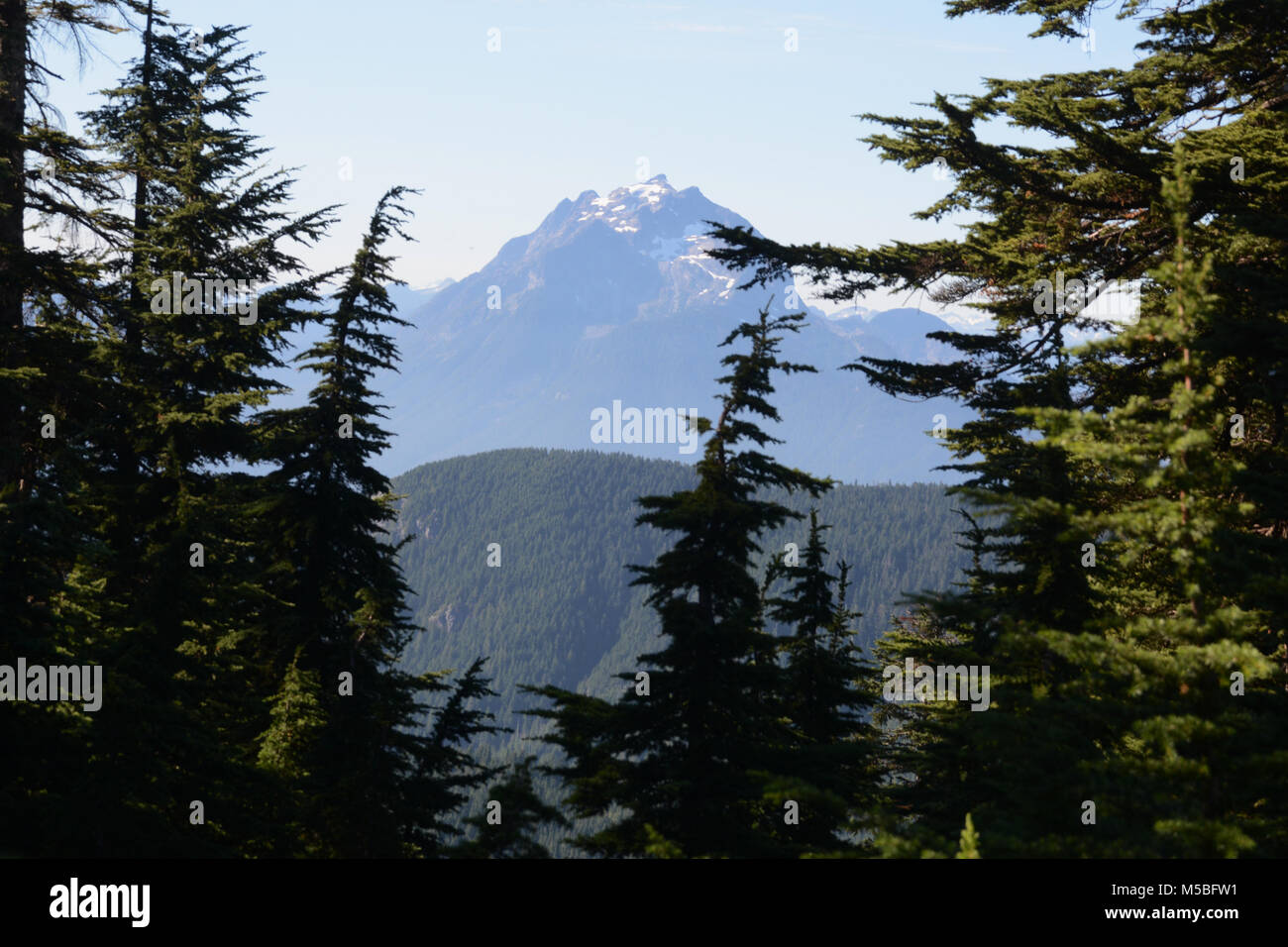 Der Gipfel des Mount Robie Reid in der Garibaldi reicht der Coast Mountains, in der Nähe von Mission, British Columbia, Kanada. Stockfoto