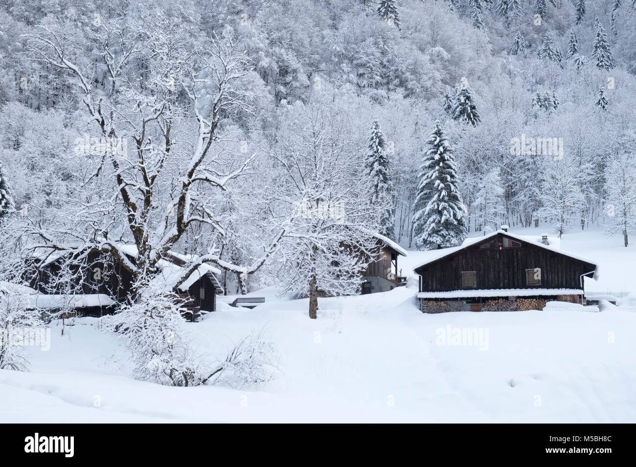 Chalets aus Holz im Schnee im Le Cirque du Fer à Cheval in der Nähe von Sixt Fer à Cheval in der Region Haute Savoie der Französischen Alpen Stockfoto