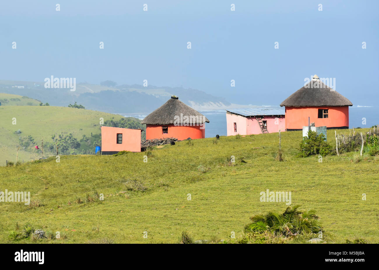Xhosa runde Hütten oder Häuser oder rondavels mit Strohdächern traditionell aus Stöcken und Schlamm im östlichen Kap an der wilden Küste von South Afr gebaut Stockfoto
