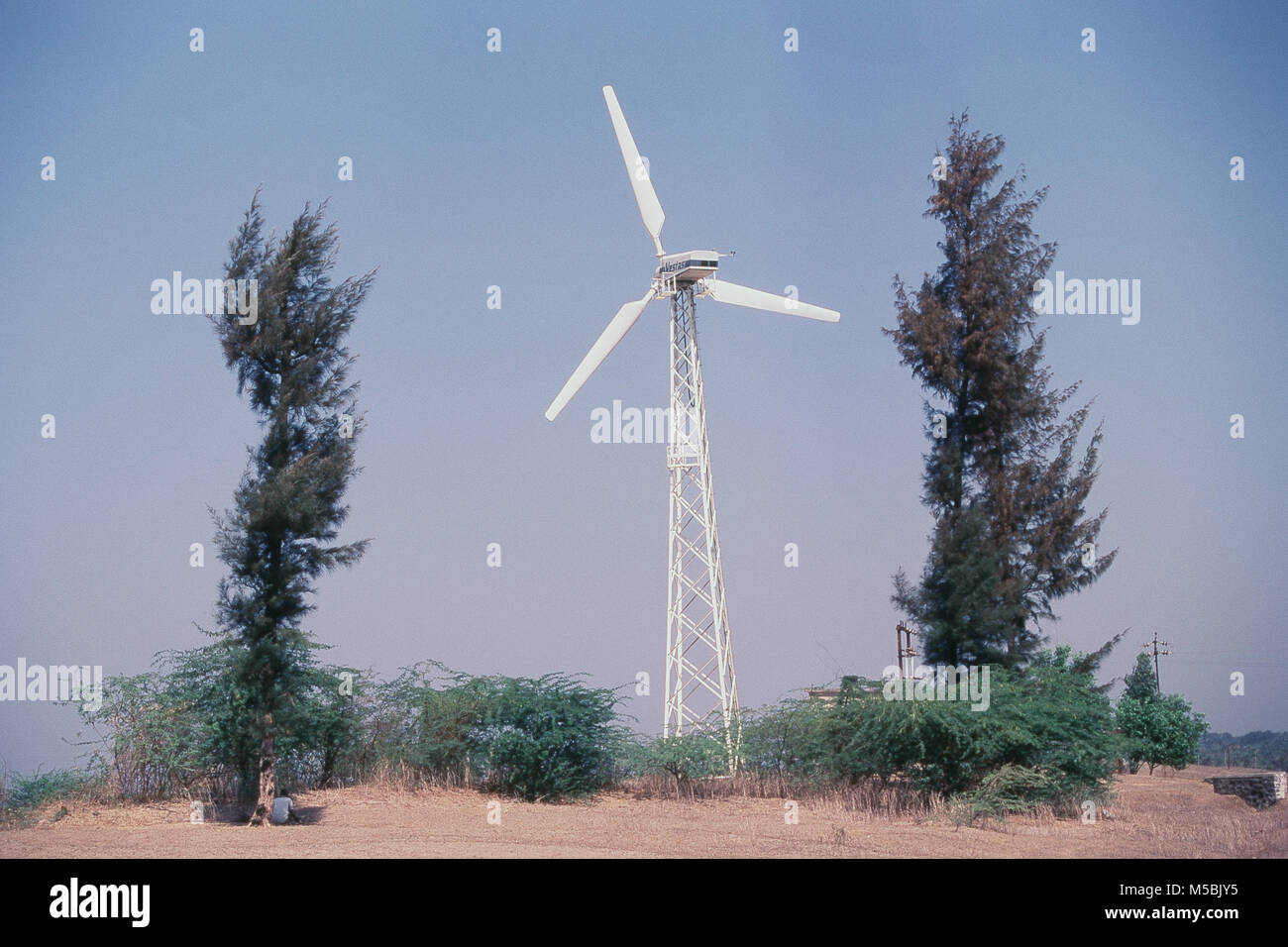 Windmühle bei Dahanu Straße, Maharashtra, Indien Stockfoto