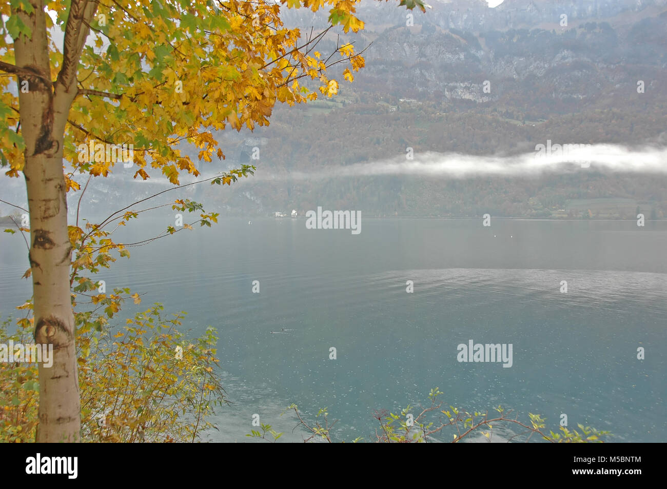 Nebel hängt über dem Walensee in der Schweiz im Herbst. Auf der anderen Seite Häuser ohne Straßenanbindung Stockfoto