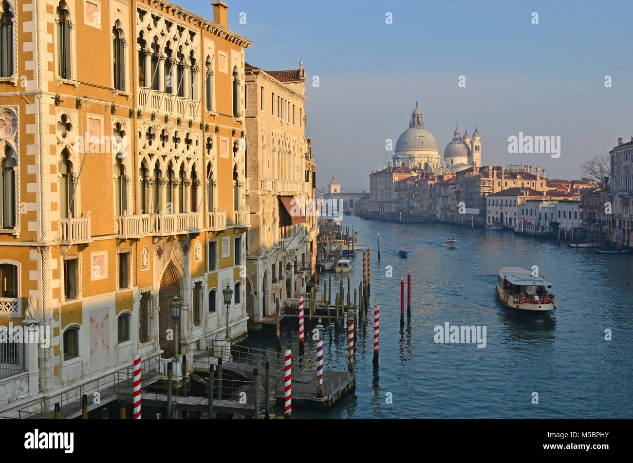 Sonnenuntergang leuchtet der Venedig-Wintergarten, mit Blick auf den Canal Grande. In der Ferne die Basilika von Santa Maria della Salute Stockfoto