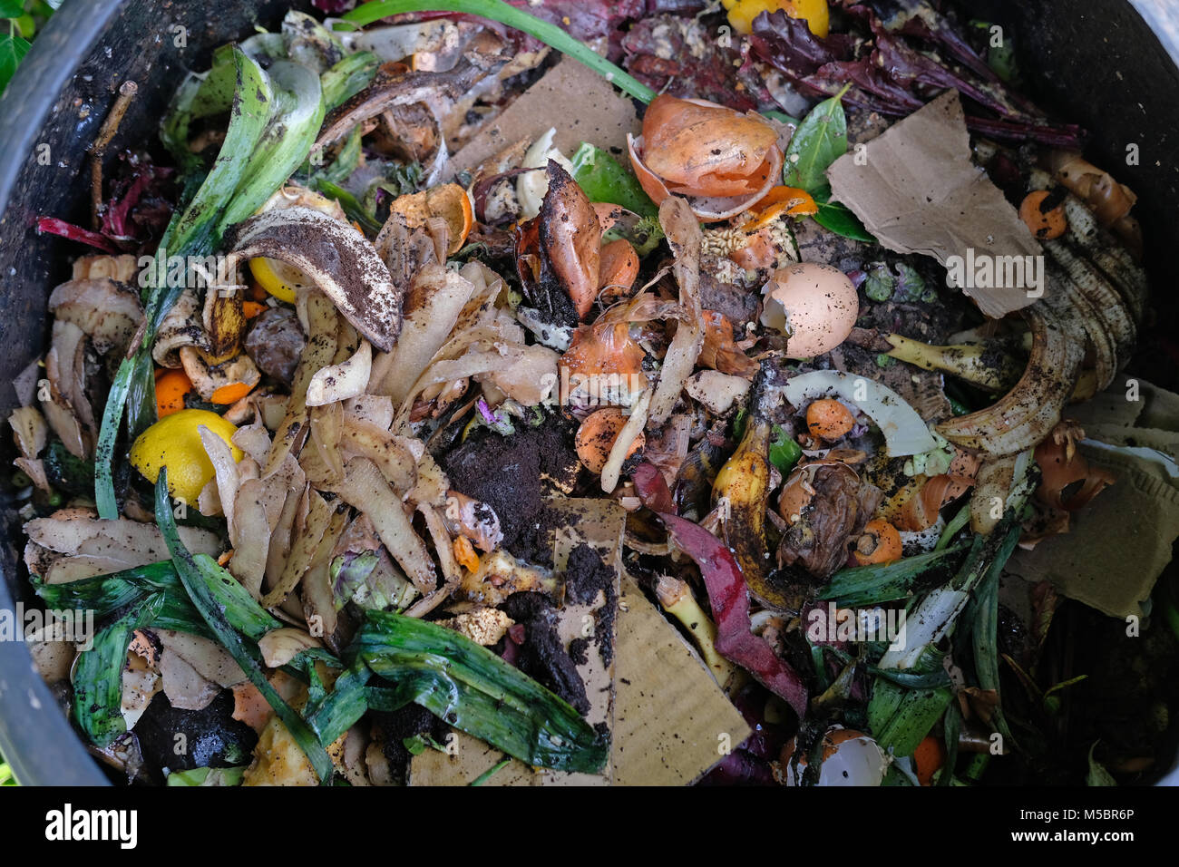 Kompost bin. Stockfoto