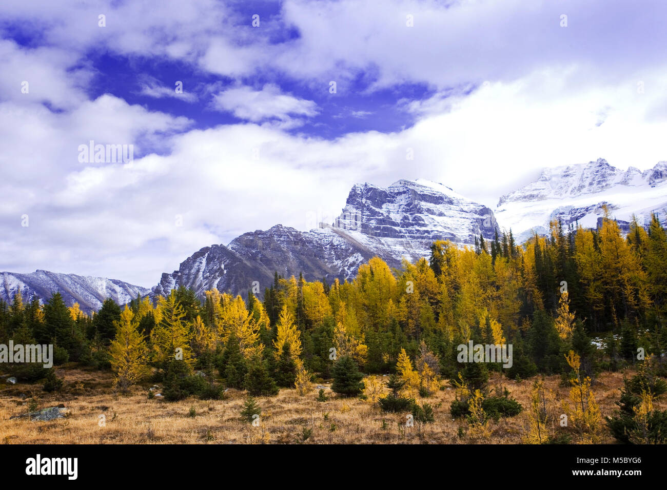 Moraine Lake im Tal der zehn Gipfel Banff National Park, Alberta, Kanada Stockfoto