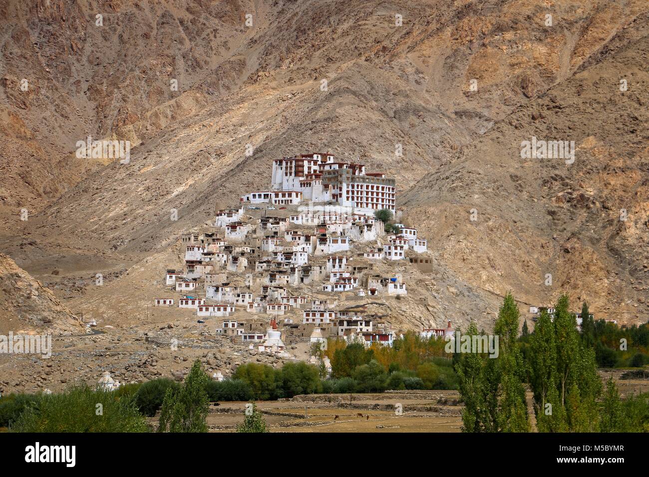 Chemdey Kloster in Sakti Dorf, Leh, Ladakh, Jammu, Kaschmir, Indien Stockfoto