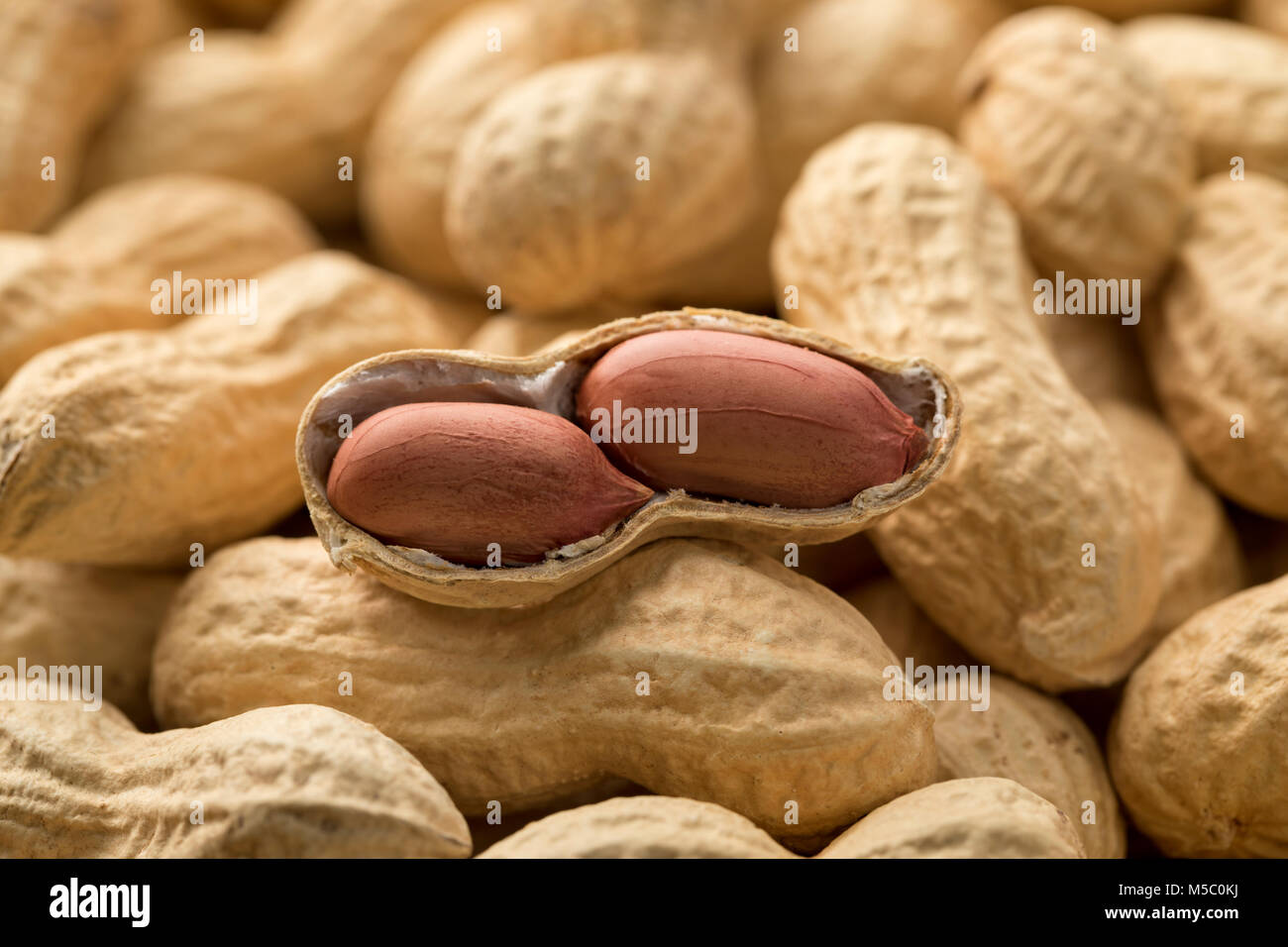 Geschälte Erdnüsse schließen oben auf ungeschälte Erdnüsse full frame Stockfoto