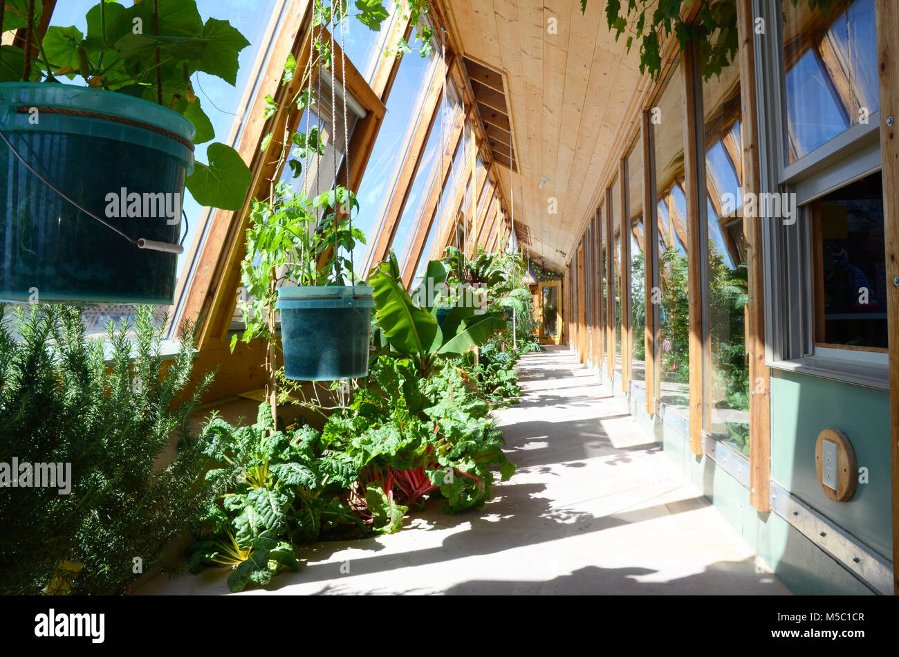 39+ Gemüsegarten Spezialitäten Usa, Einige der regionalen