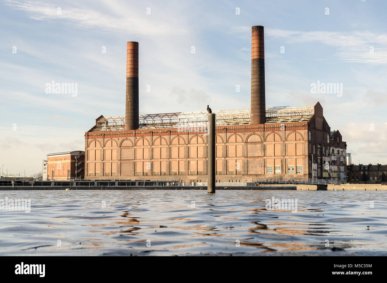 London, England, UK - Januar 14, 2014: Ein Kormoran steht auf einen Posten in der Themse zwischen Battersea und Chelsea in West London, mit dem dereli Stockfoto