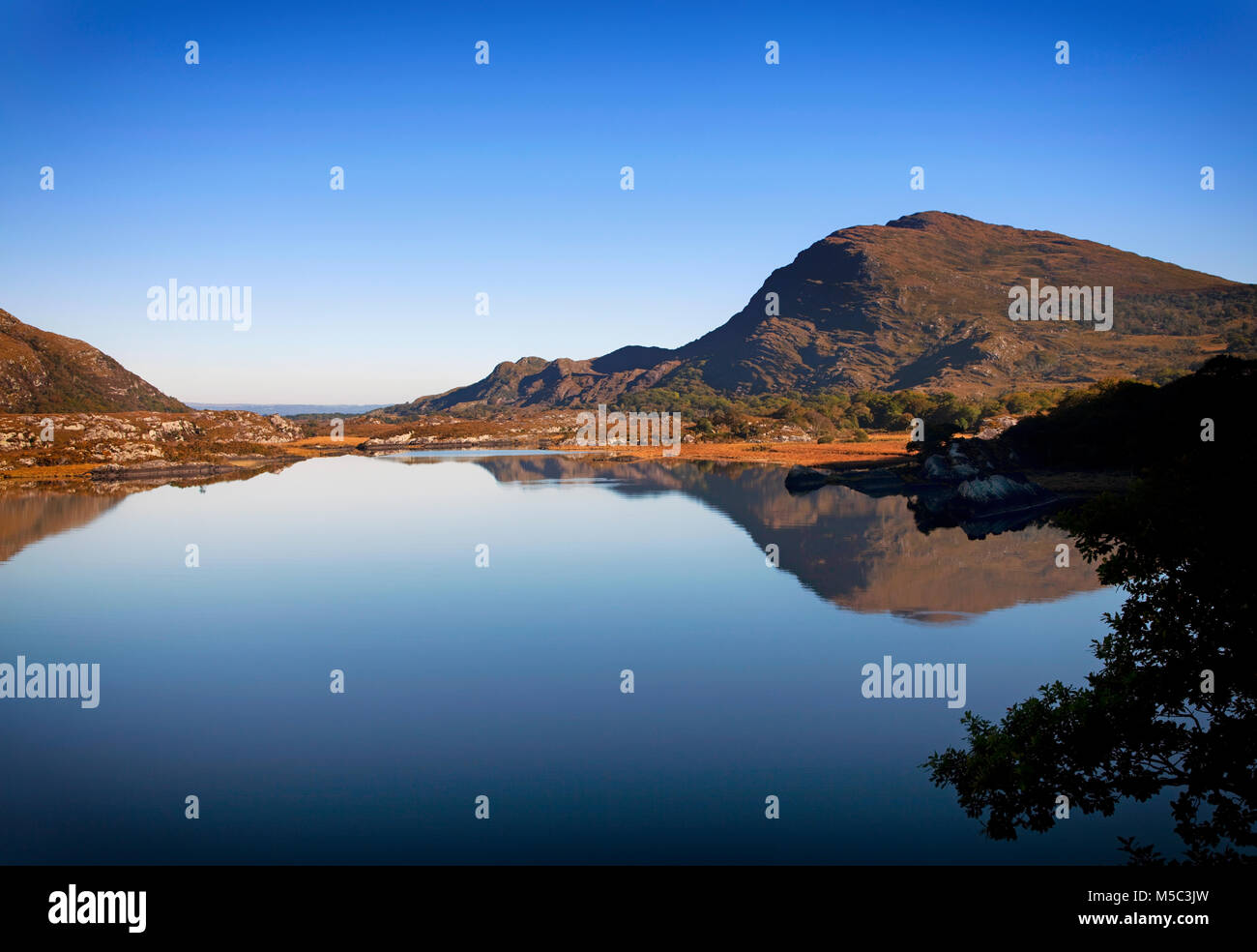 Die lange Strecke (zum Anschluss des Muckross und Oberen Seen), Nationalpark Killarney, County Kerry, Irland Stockfoto