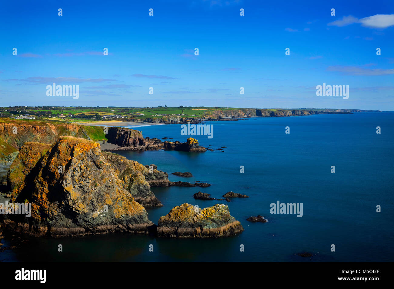 Cliffs im Westen von bunmahon im Kupfer Küste Geopark, County Waterford, Irland. Stockfoto