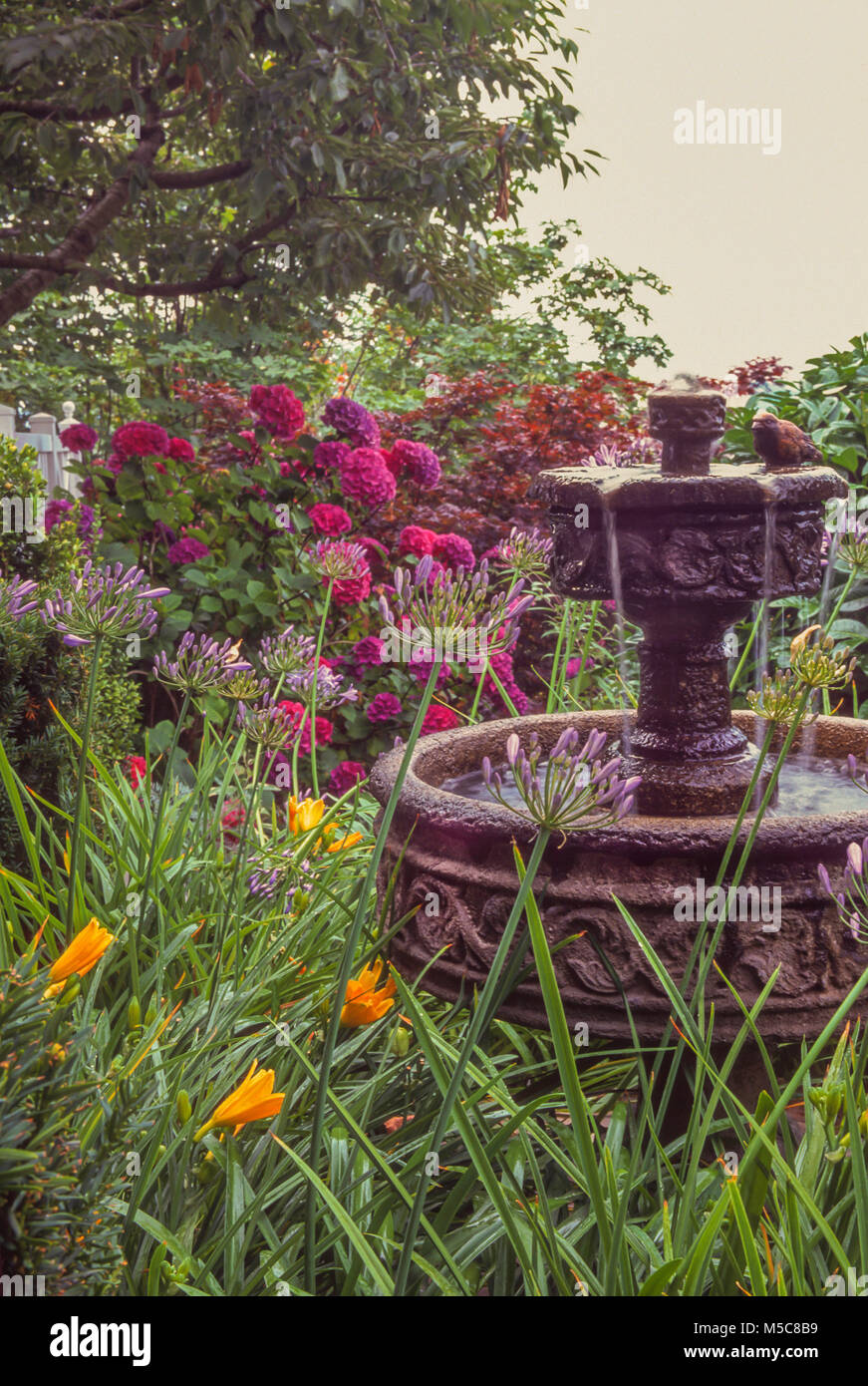 Mehrstufige Springbrunnen im Garten Stockfoto