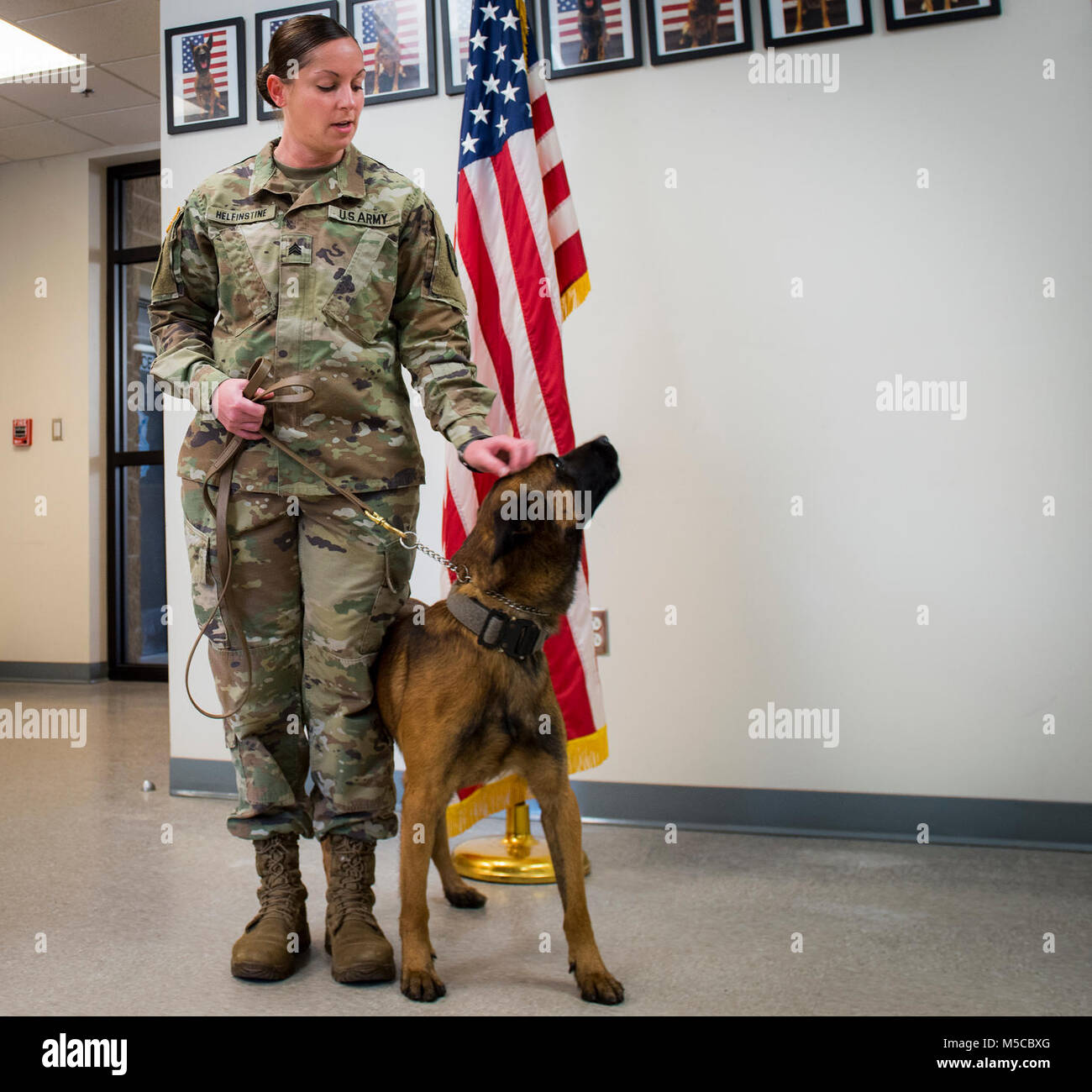 Sgt. Kelli Helfinstine, base Veterinary Technician, gibt Pako, ein 96