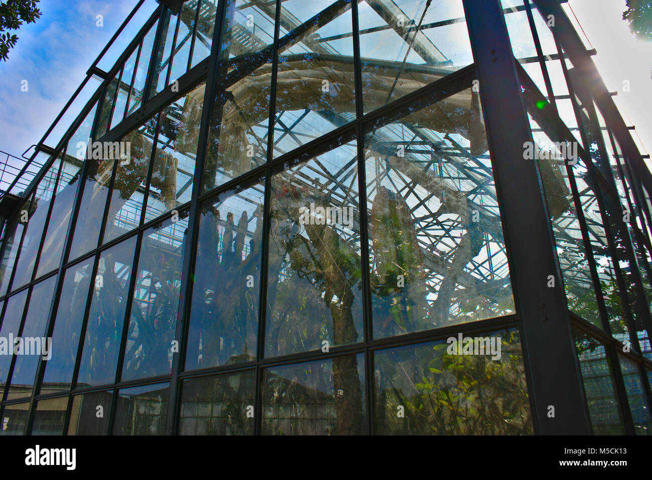 Transparenz Der große Gewächshäuser der Park de la Tête d'Or in Lyon, Rhone, Frankreich Stockfoto