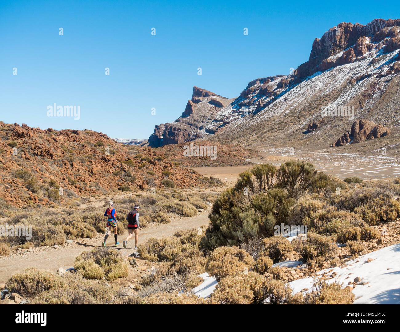 Parque Nacional del Teide, Teneriffa, Kanarische Inseln, Spanien Stockfoto