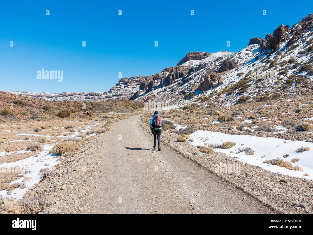 Weibliche Wanderer auf Wanderweg in Krater unter den Teide nach den letzten Schnee. Parque Nacional del Teide, Teneriffa, Kanarische Inseln, Spanien Stockfoto