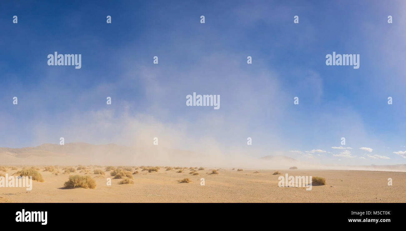 Starke Winde Wehen einer massiven Sandsturm über der offenen Wüste des Südwestens. Stockfoto