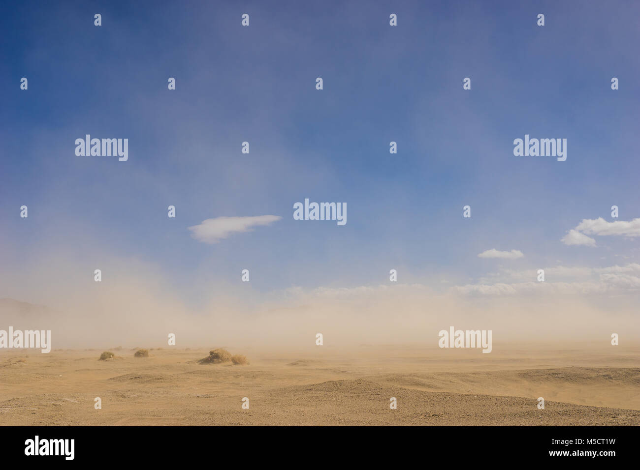 Große Sandwüste in der Dürre Klima durch einen windigen Sandsturm abgedeckt. Stockfoto