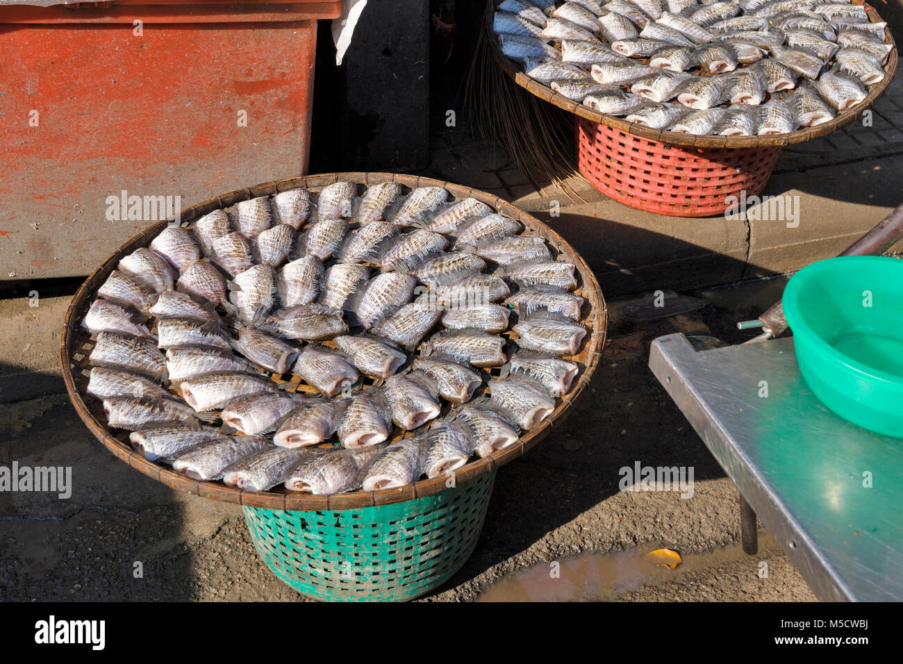 Ordentlich Fisch in einem Kreis, trocken in der Sonne in einem stret auf Bangkok, Andamanensee Stockfoto