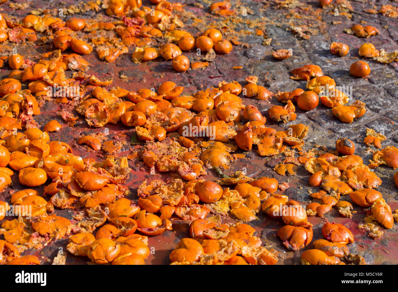 Durch zertrümmerte Früchte Straßen während orange Schlacht am historischen Karneval in Ivrea, Italien. Stockfoto