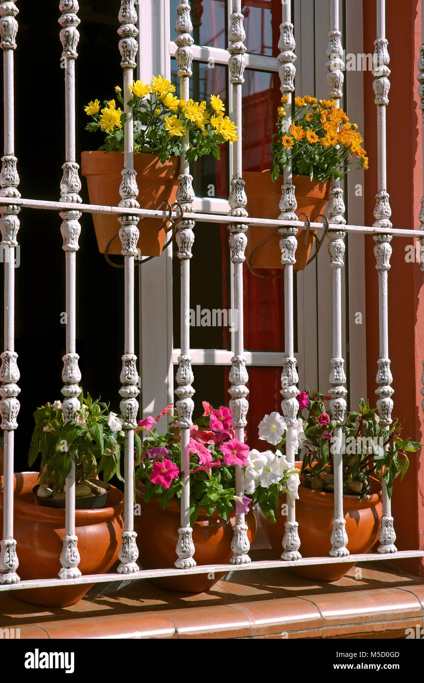Mit den Blumentöpfen und Sicherheitsgitter, Almonte, Provinz Huelva, Andalusien, Spanien, Europa Fenster Stockfoto