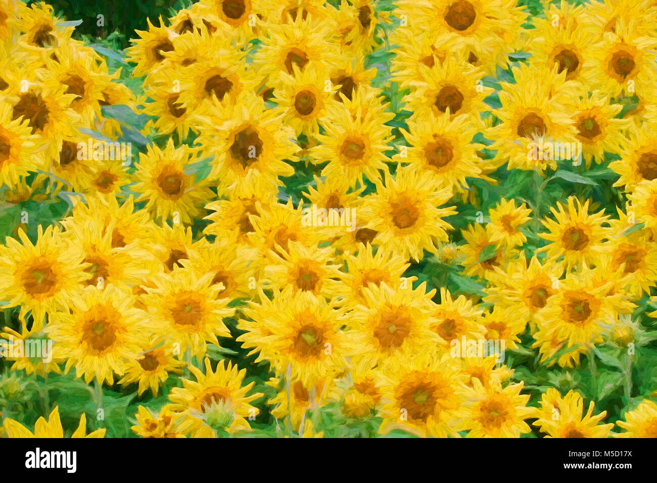 Der impressionistischen Kunst in einem schönen Gebiet der Blühende Sonnenblumen Stockfoto