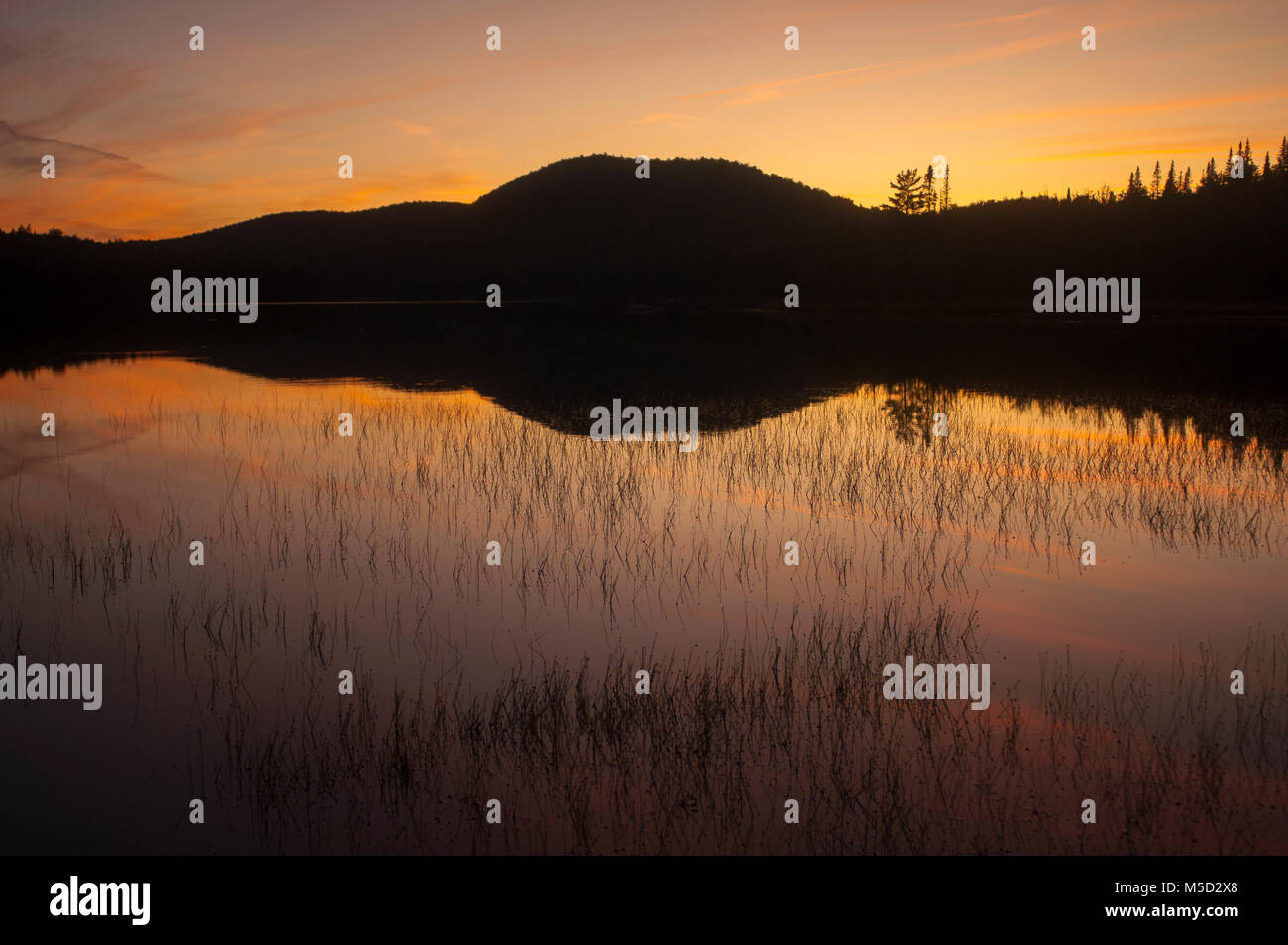 Sonnenuntergang, South Lake Forest Preserve, Adirondack, New York Stockfoto