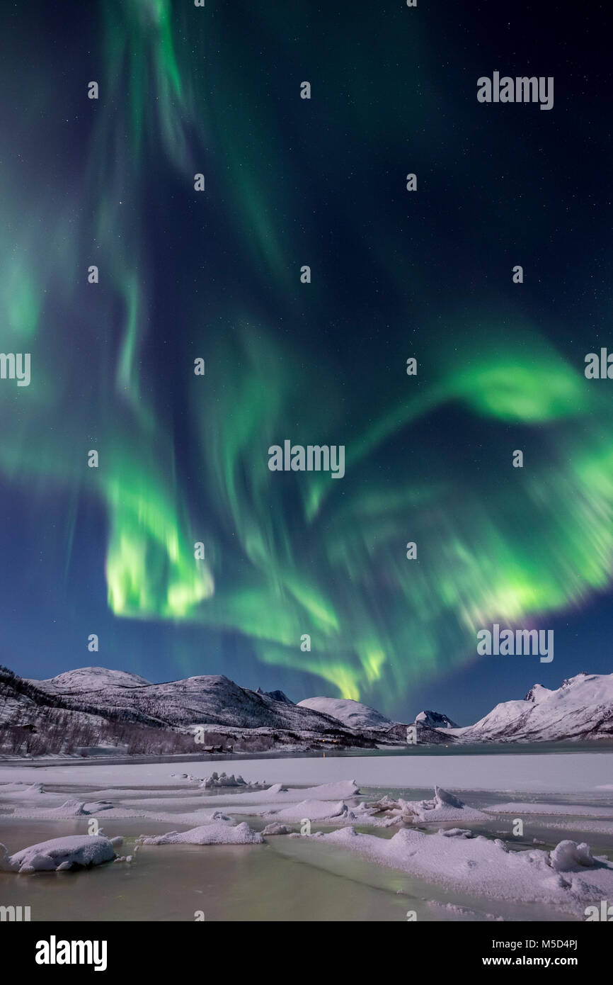 Nordlichter über die Insel Senja, Troms, Norwegen Stockfoto