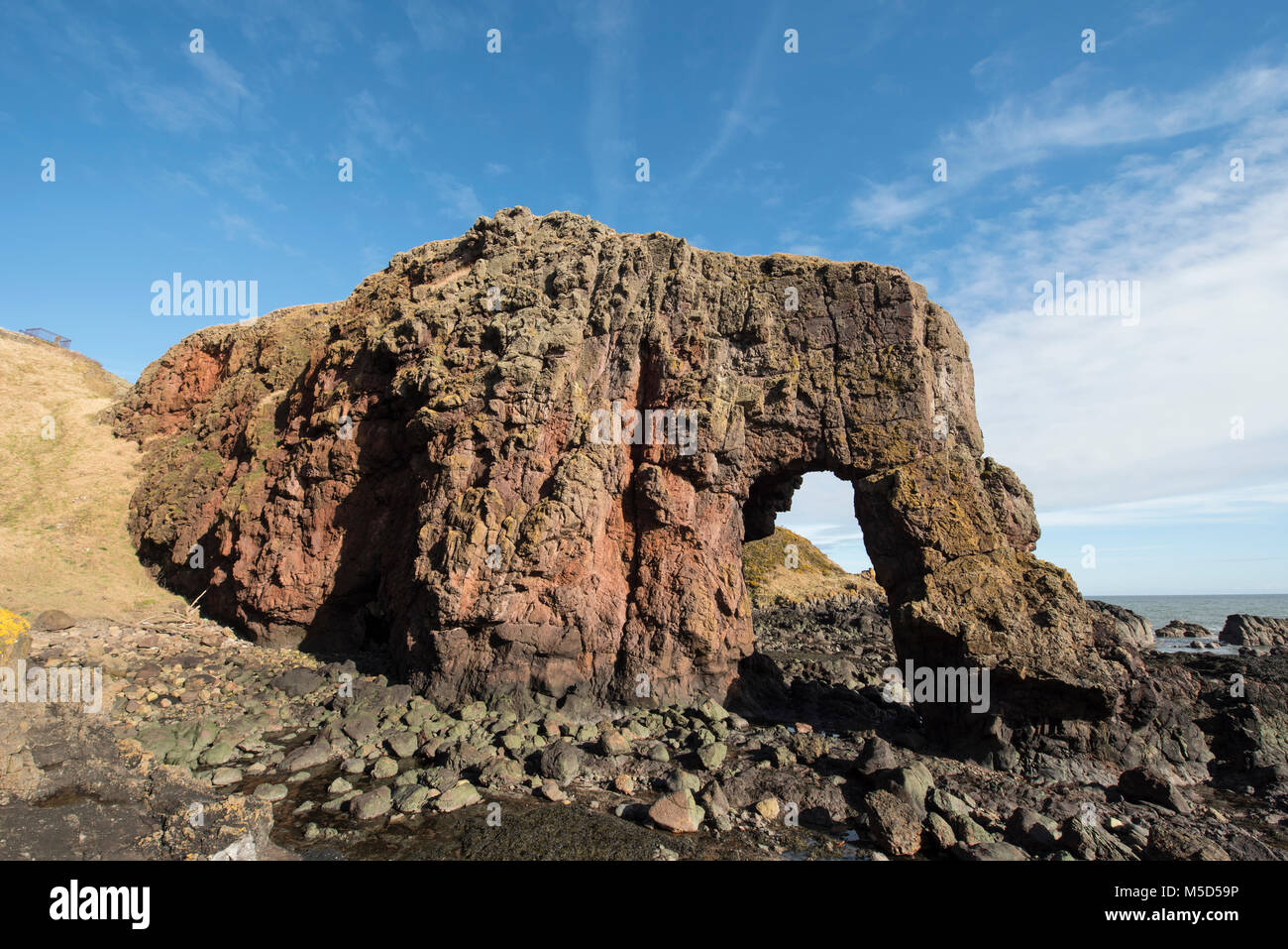 Elephant Rock, in der Nähe von Montrose, Angus, Schottland. Stockfoto