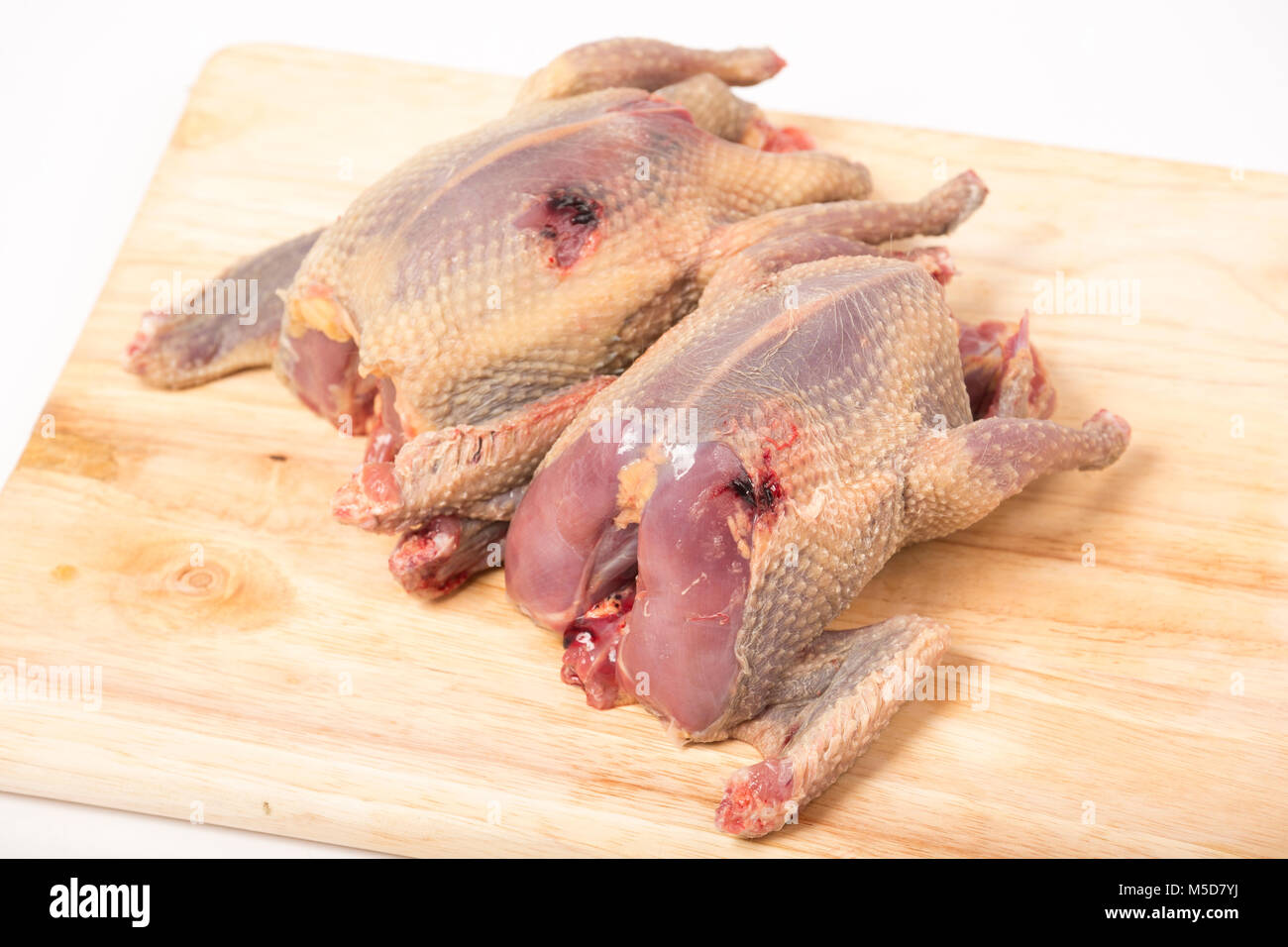 Zwei wilde, gezupften Ringeltaube, Columba Palumbus bereit für das Kochen. England UK GB Stockfoto