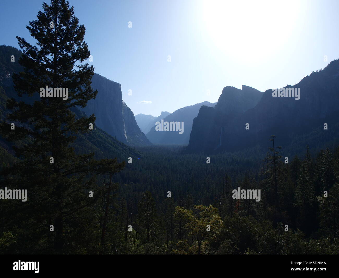 Ansicht im Yosemite National Park Stockfoto