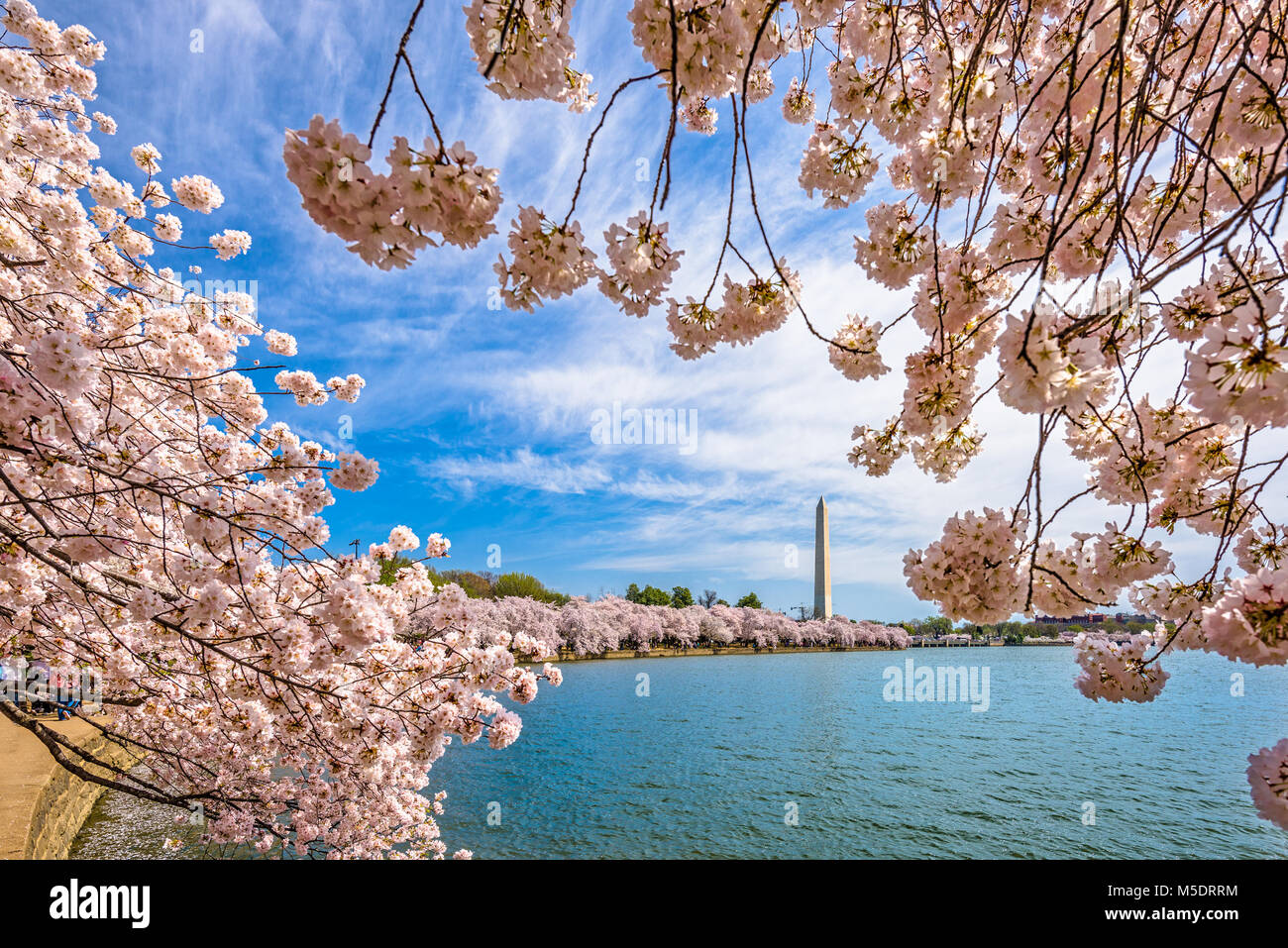 Washington DC, USA im Frühjahr Saison. Stockfoto