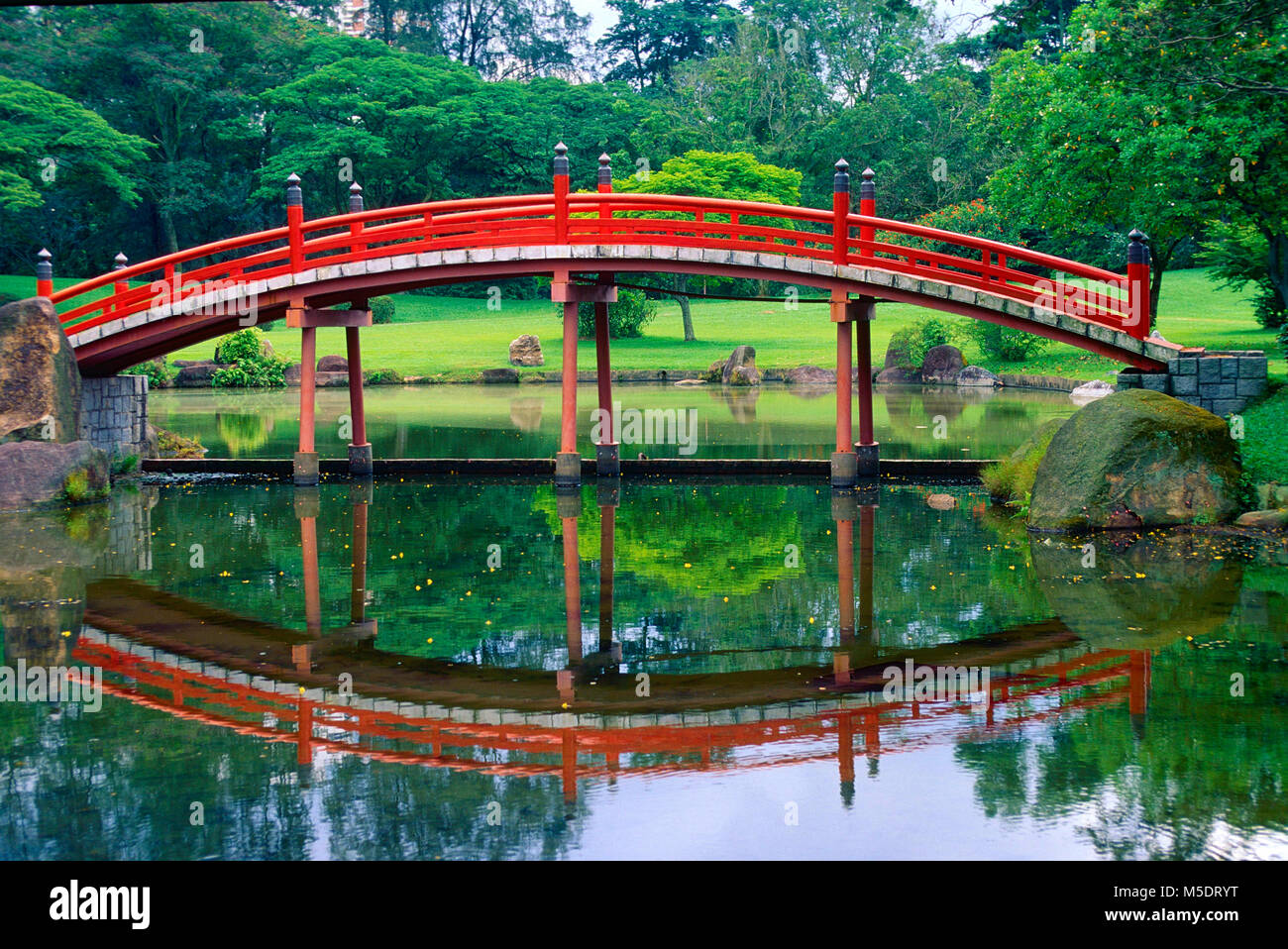 Japanischer Garten, rote Brücke, Reflexionen, Teich, Park, Singapur Stockfoto