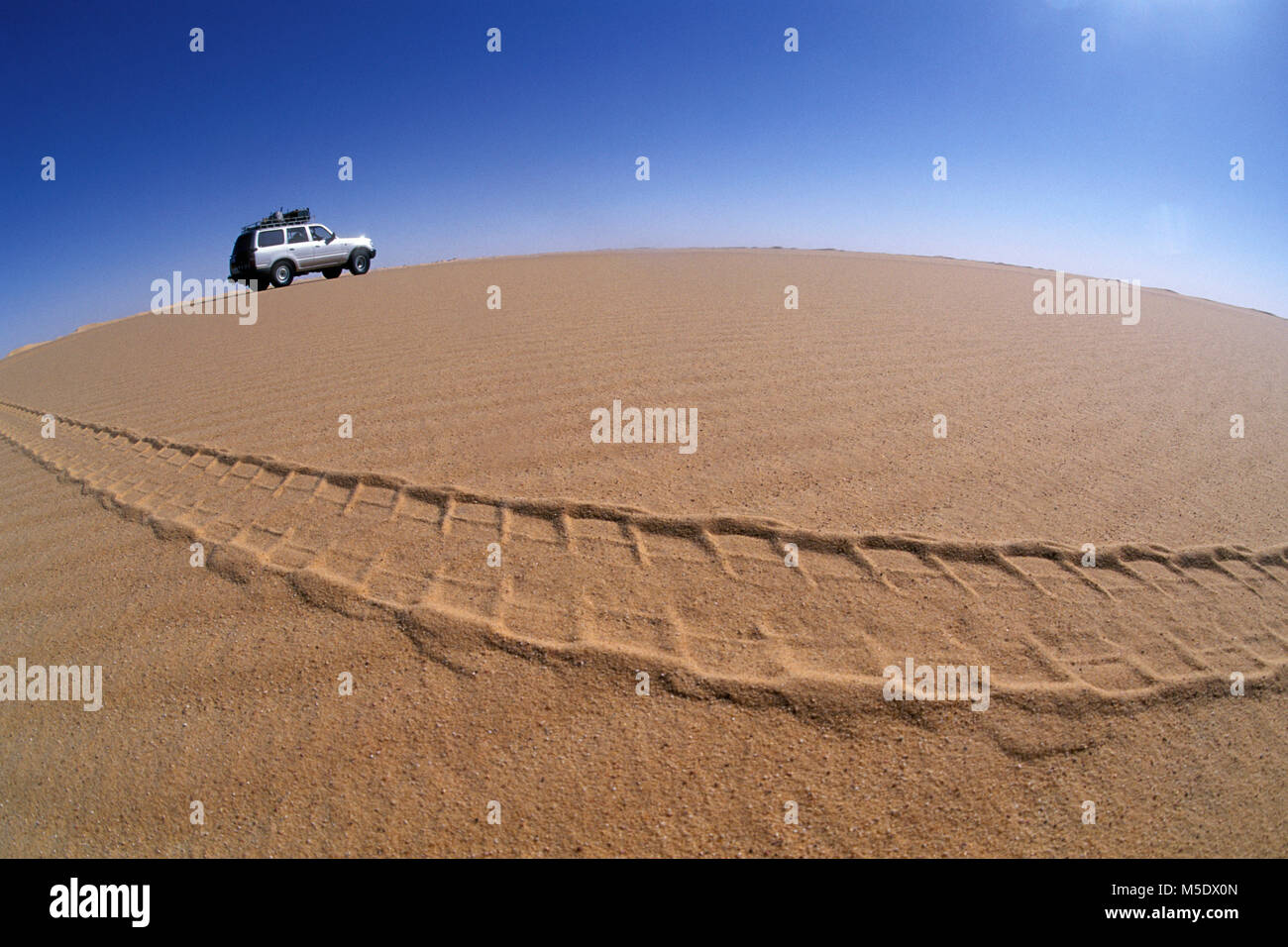 Niger. Agadez. Sahara. Sahel, Ténéré Wüste. Sanddünen von Ilekane. 4x4 Auto. Tourist. Unesco-Weltkulturerbe. Fischaugenobjektiv. Stockfoto