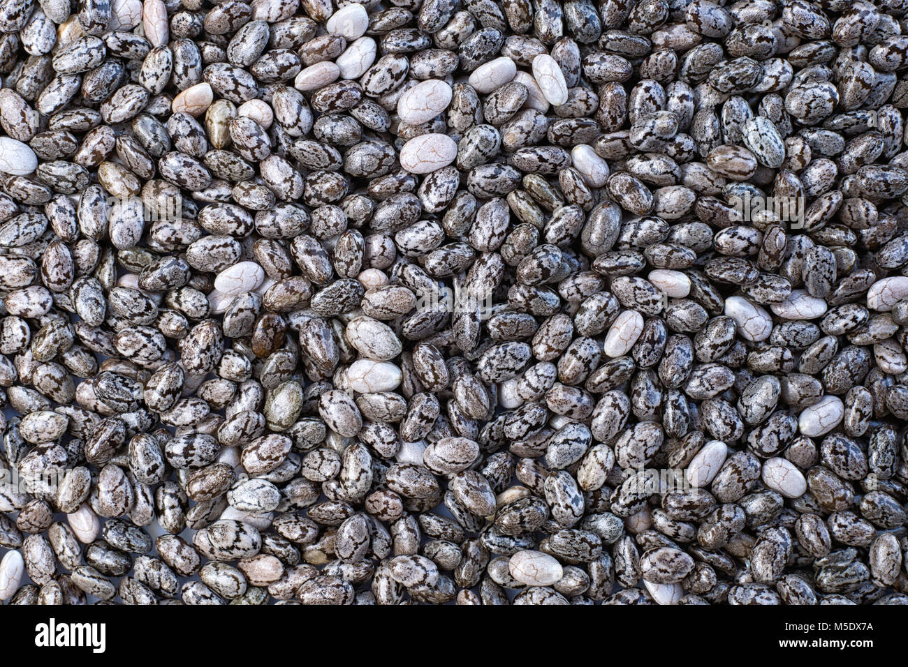 Chia (Salvia hispanica) Hintergrund Texturen. viele Samen ausbreiten Stockfoto