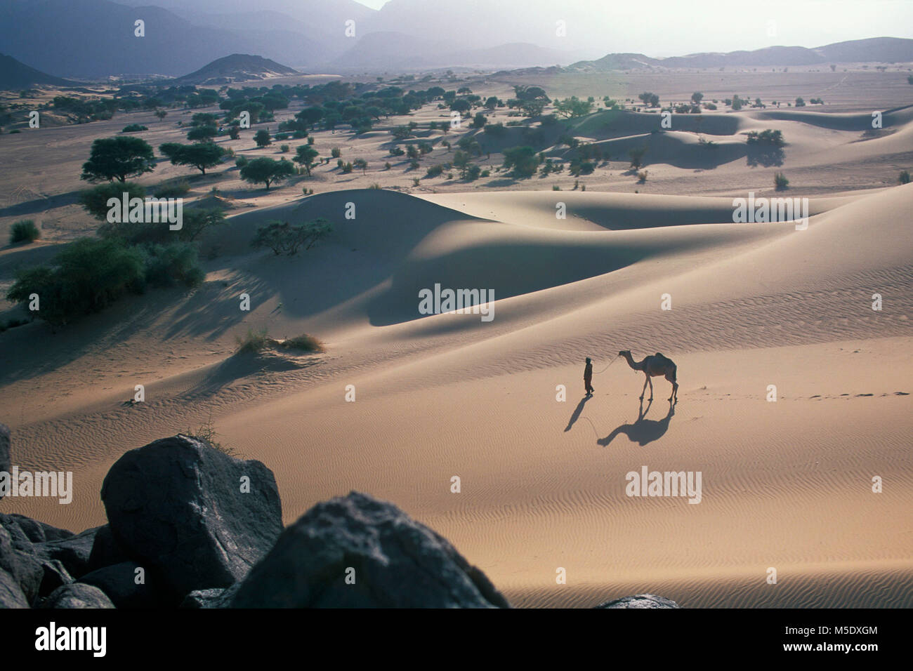 Niger, Tazarzait. Sahara. Die Berge. Sahel. Ténéré Wüste. Tuareg Stamm. Nomaden. Mann mit dem Kamel. Unesco-Weltkulturerbe. Stockfoto