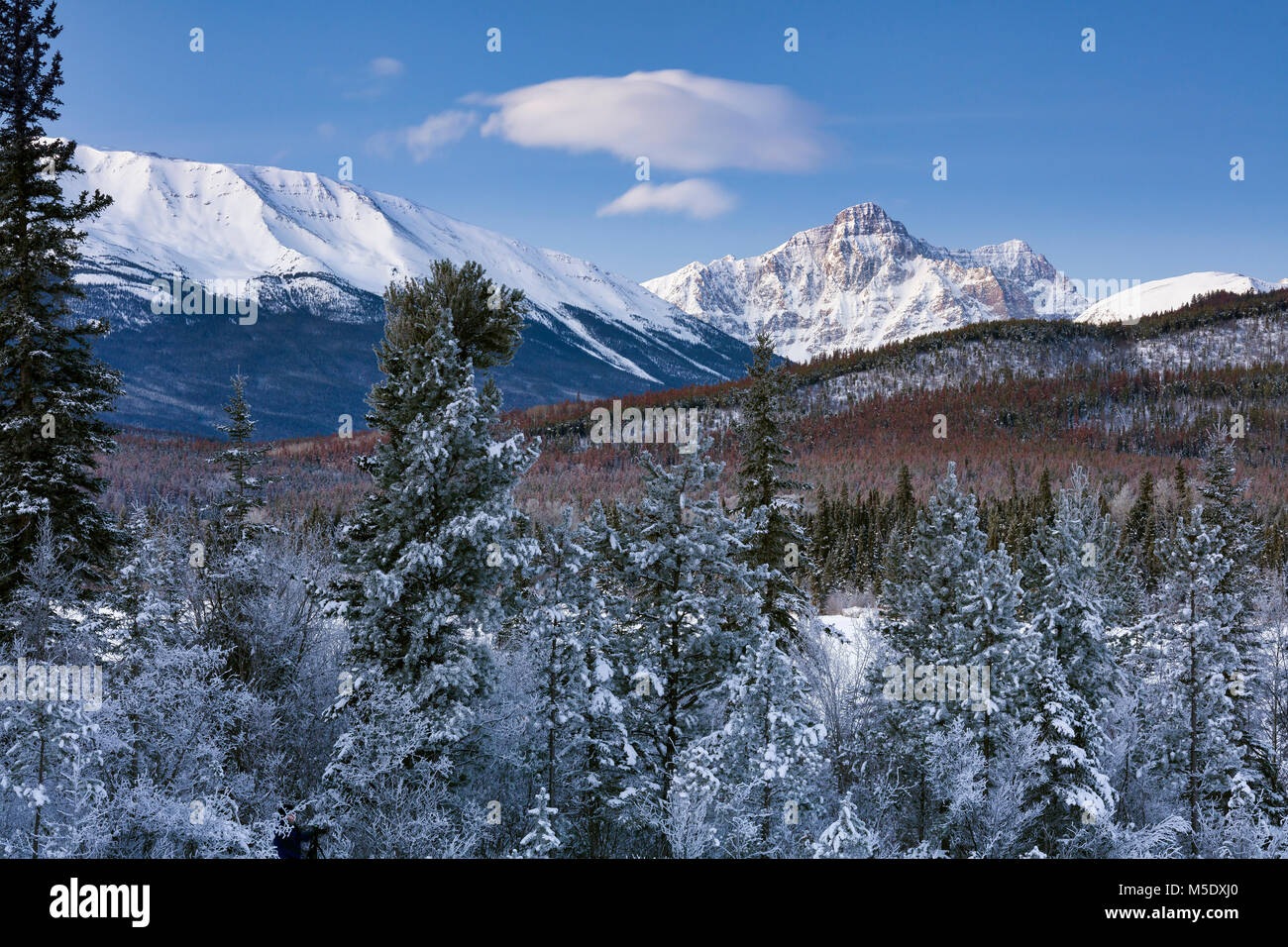 Pyramid Lake im Winter, Jasper National Park, Alberta, Kanada Stockfoto