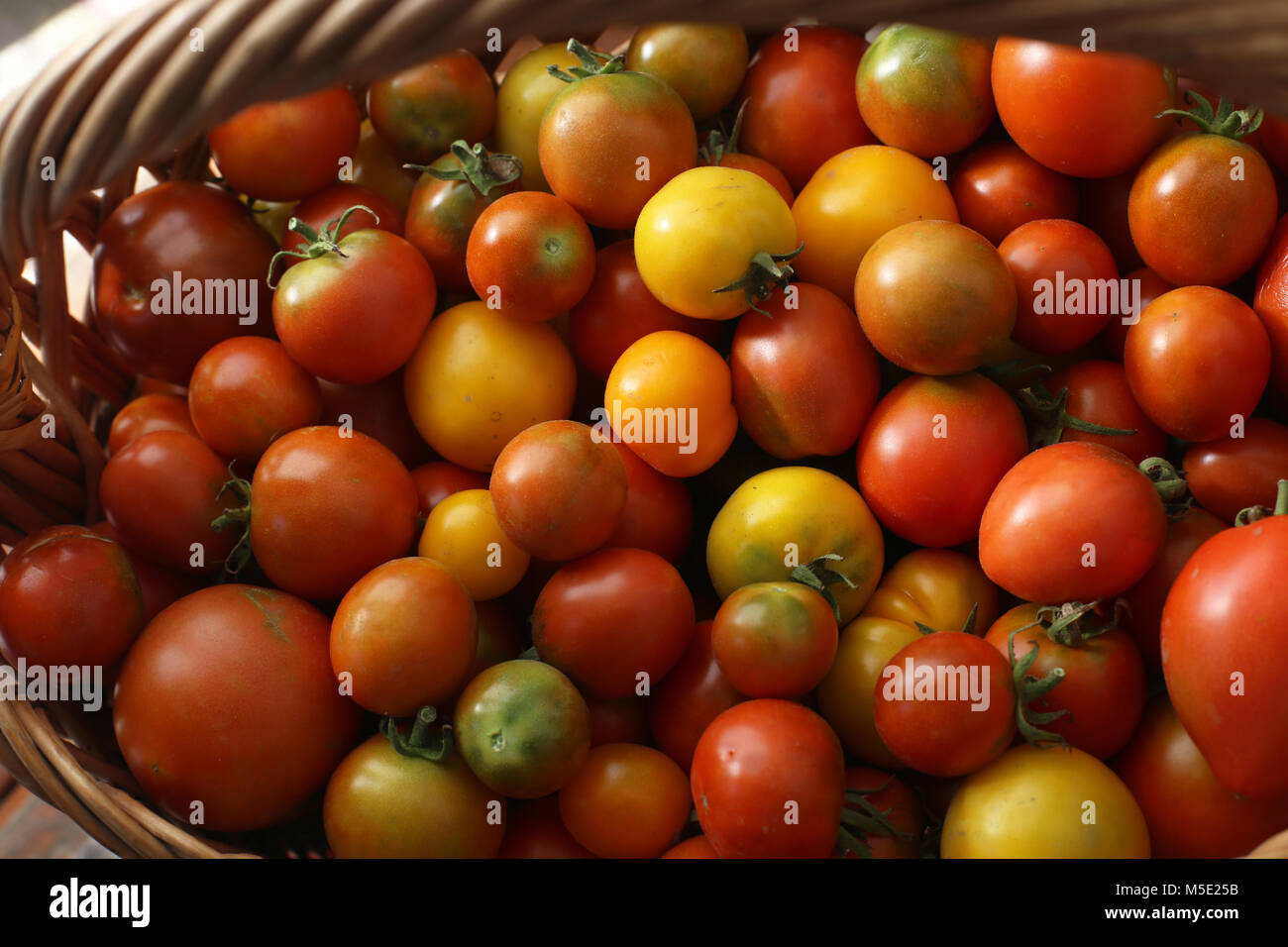 Farbe, bunt, Markt, Grün, Tomaten, Korb, Sommer, Rot, Gelb, Textur, rohe, natürliche, Zutaten, Gemüse, Natur, vegetarische Gerichte, frische Stockfoto