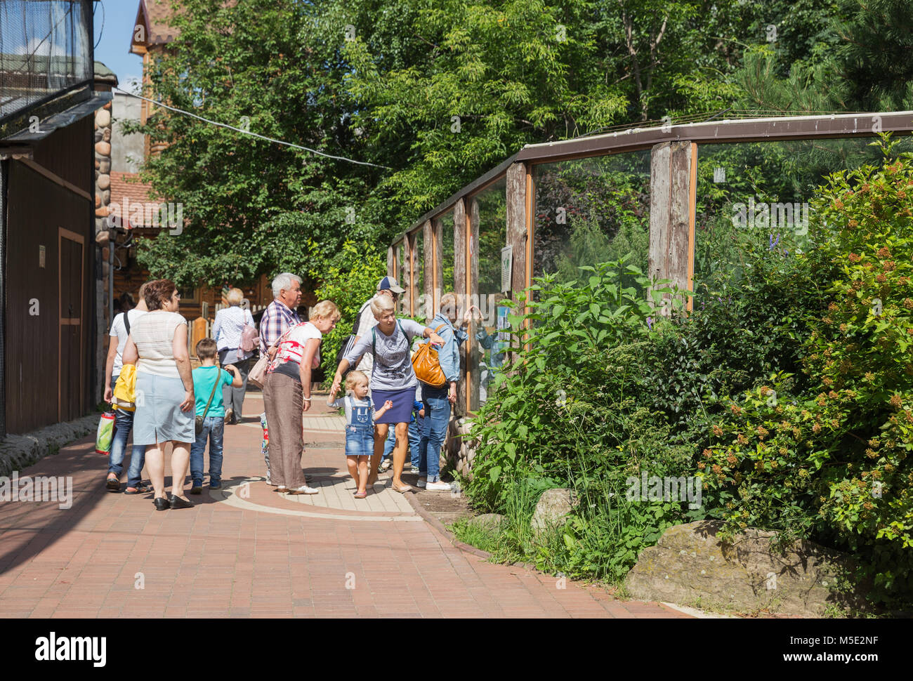 Sankt Petersburg, Russland - Juli 26, 2017: Die Menschen in einem Zoo in der Nähe von einem Gehege mit Wölfen Blick auf Tiere Stockfoto