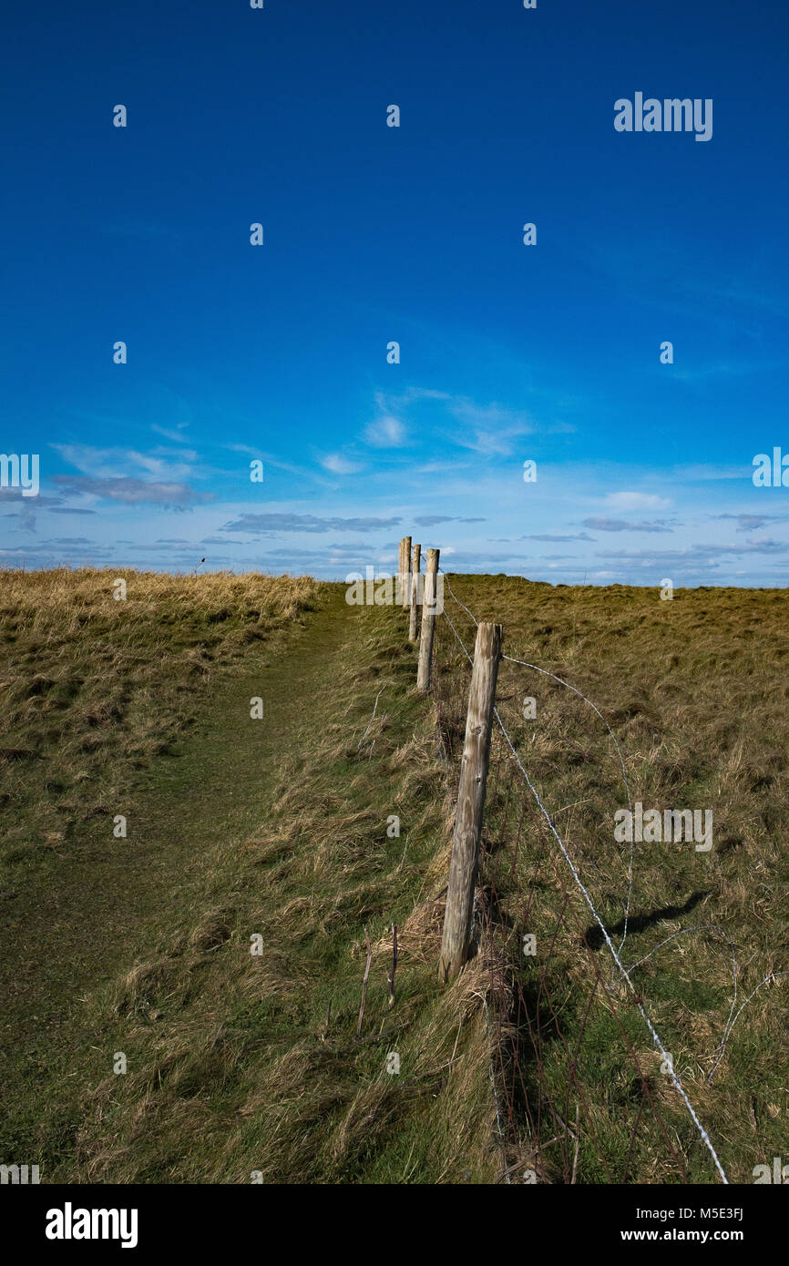 Lineare Perspektive einer Zaun durch eine Wiese auf einer Feder sonnigen Tag mit blauem Himmel und weißen Wolken im Hintergrund Stockfoto