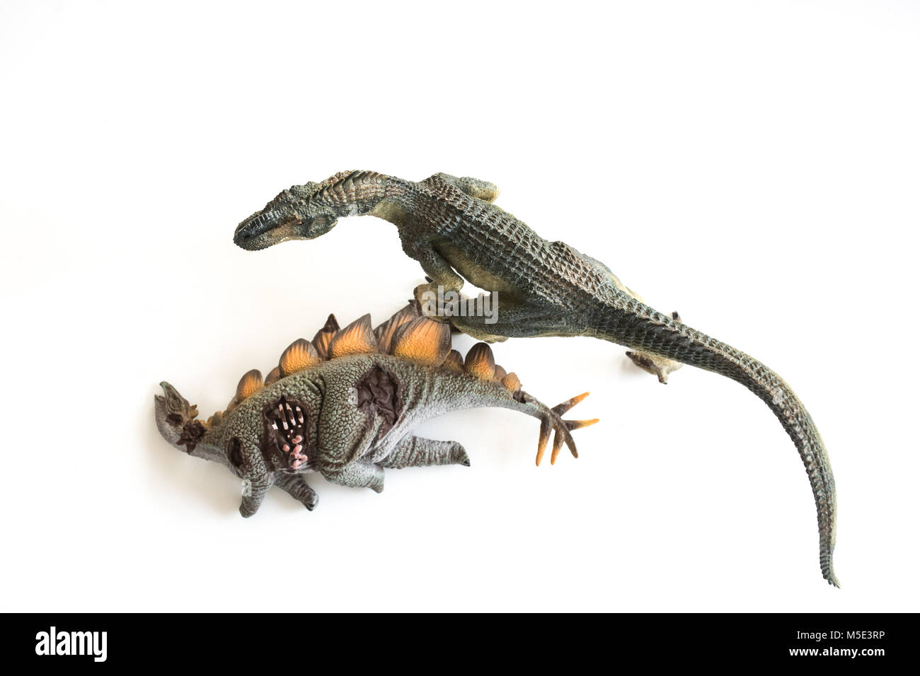 Tot stegosaurus auf weißem Hintergrund Stockfoto