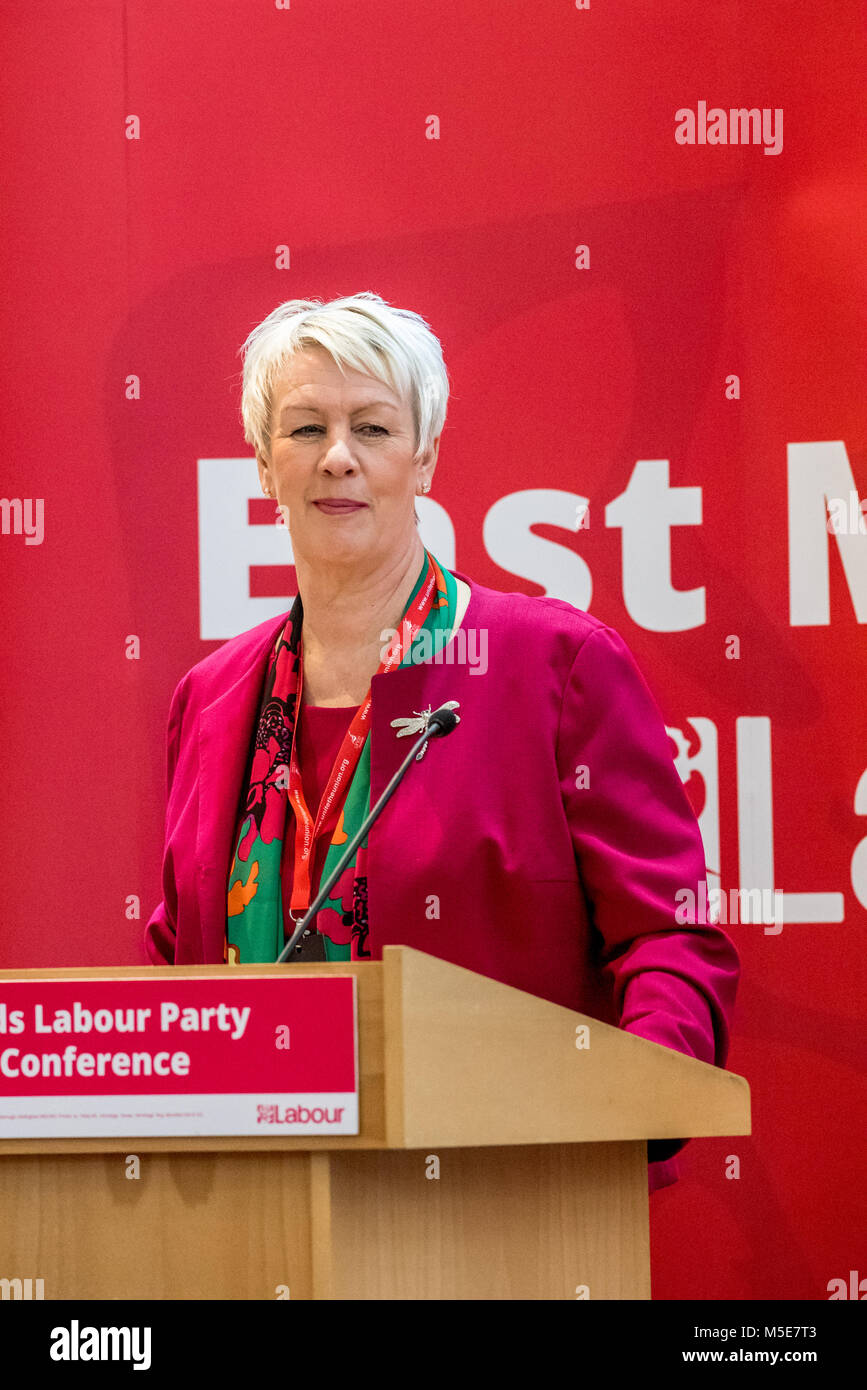 Cheryl Pidgeon, prospektive Arbeit Kandidat für Rushcliffe, Großbritannien Stockfoto