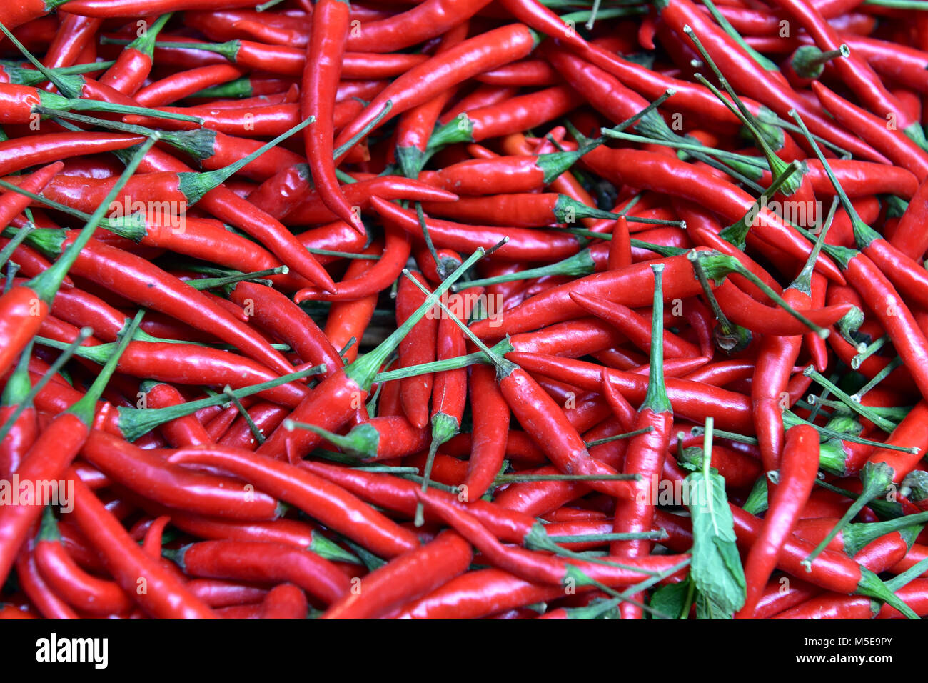 Eine große Menge rote Chilis mit grünen Stiele oder Stängel auf Anzeige an einem Borough Markt auf einen Stall in Central London. Nahrungsmittel und Gewürze Zutaten. Stockfoto