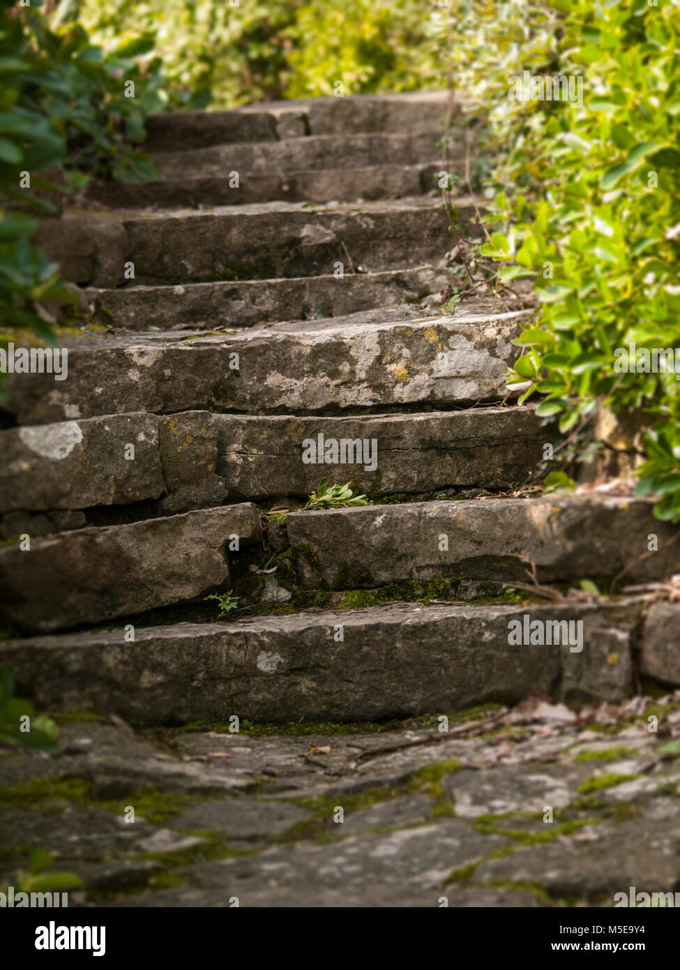 Geheime aufsteigend Steintreppe. Stockfoto