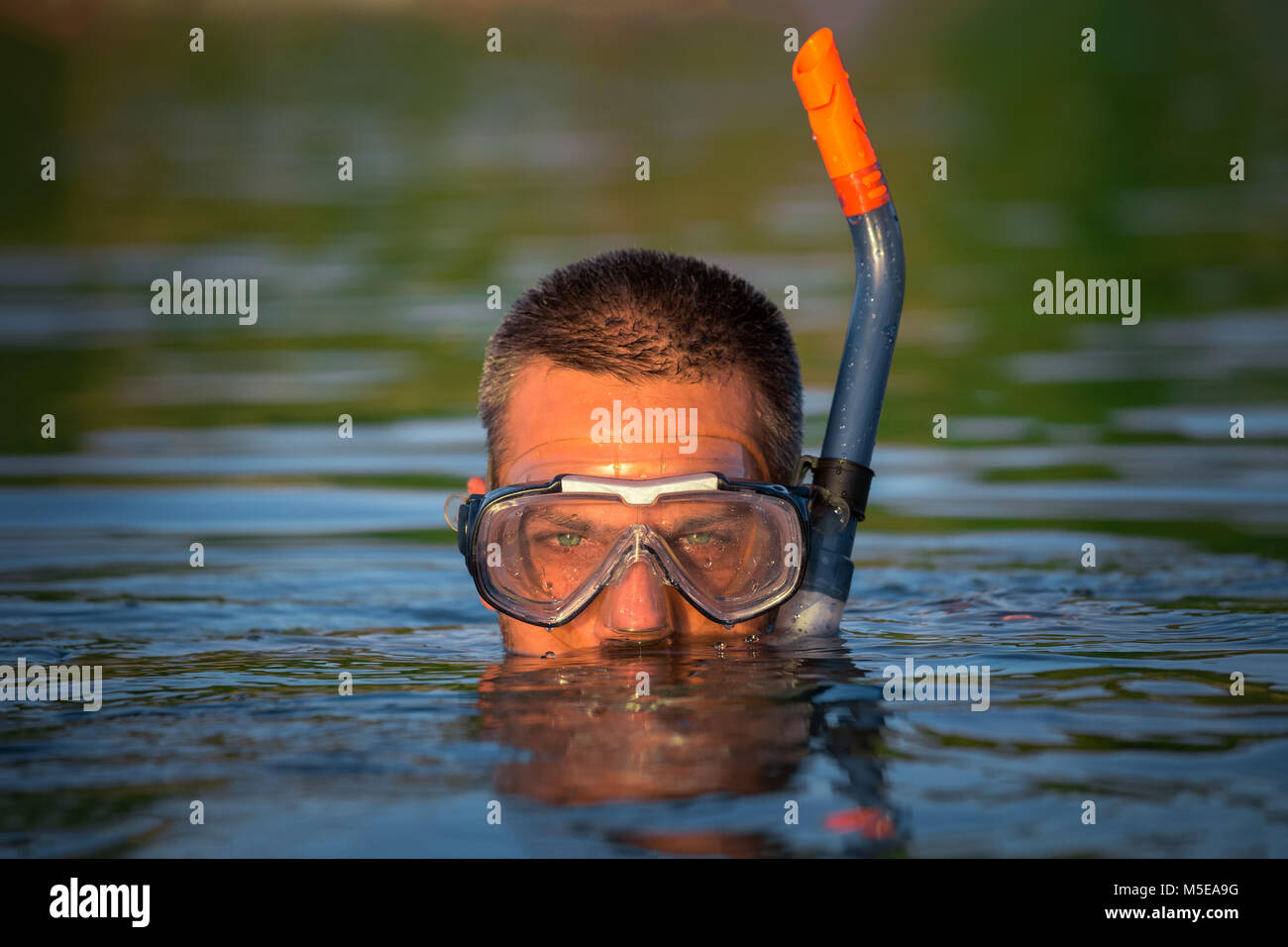 Portrait von Diver mit Schnorchel und Brille auf dem Wasser Oberfläche Stockfoto
