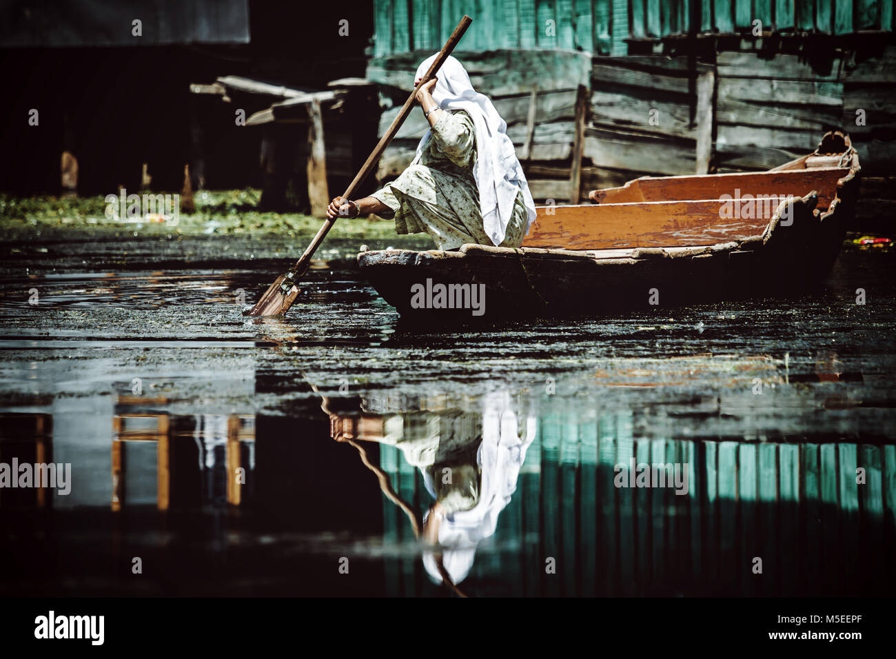 Kaschmir muslimische Frau Bootfahren auf dem berühmten Dal Lake in Srinagar, Indien mit einer atemberaubenden Spiegelbild oder auf der glatten See Oberfläche erstellt Stockfoto