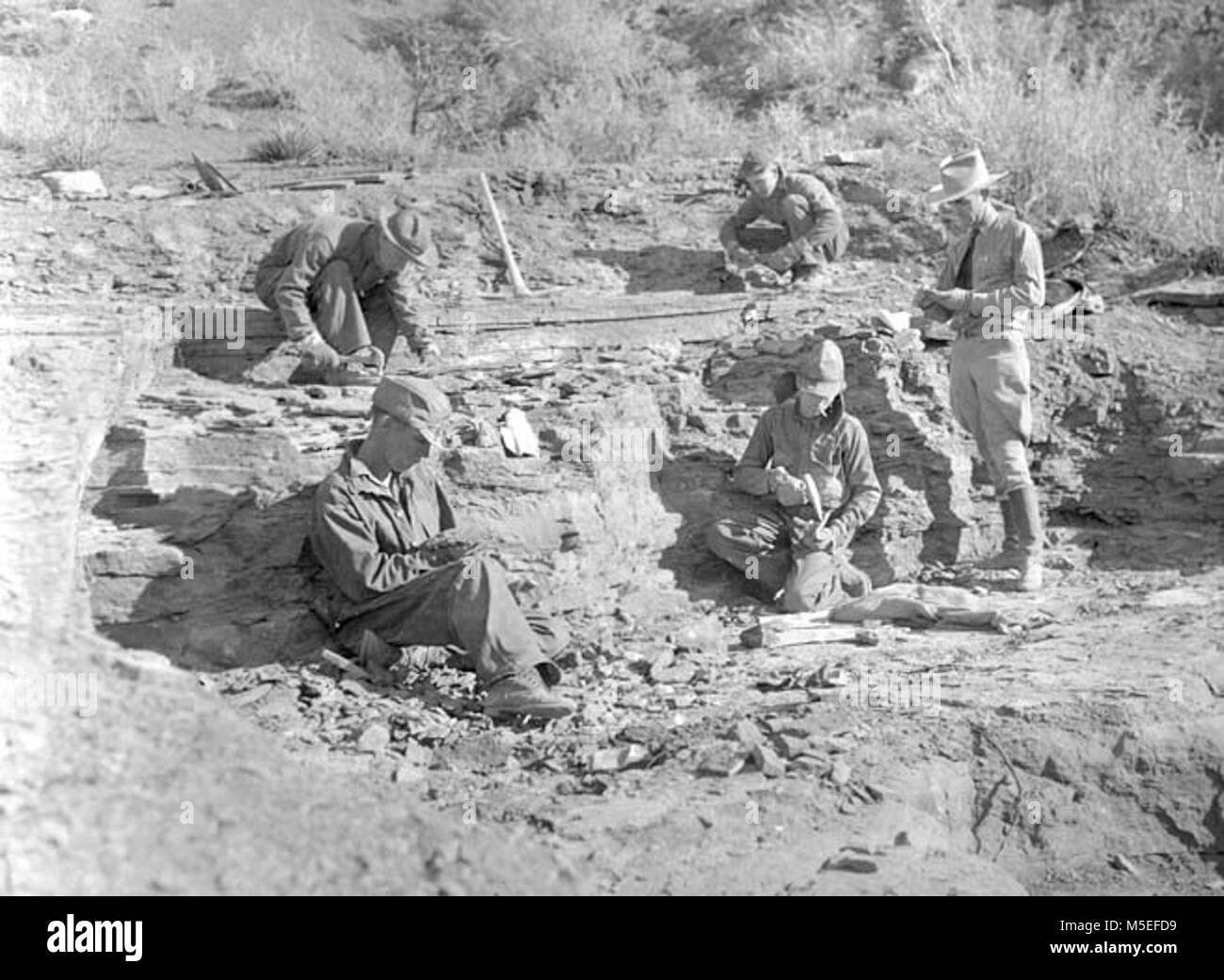 Grand Canyon fossilen Ausstellung CCC EINGETRAGENEN DAS FOSSIL FERN AUSSTELLUNG STEINBRUCH AUF DEM S KAIBAB TRAIL AUSZUGRABEN. CIRCA 1935. . Stockfoto